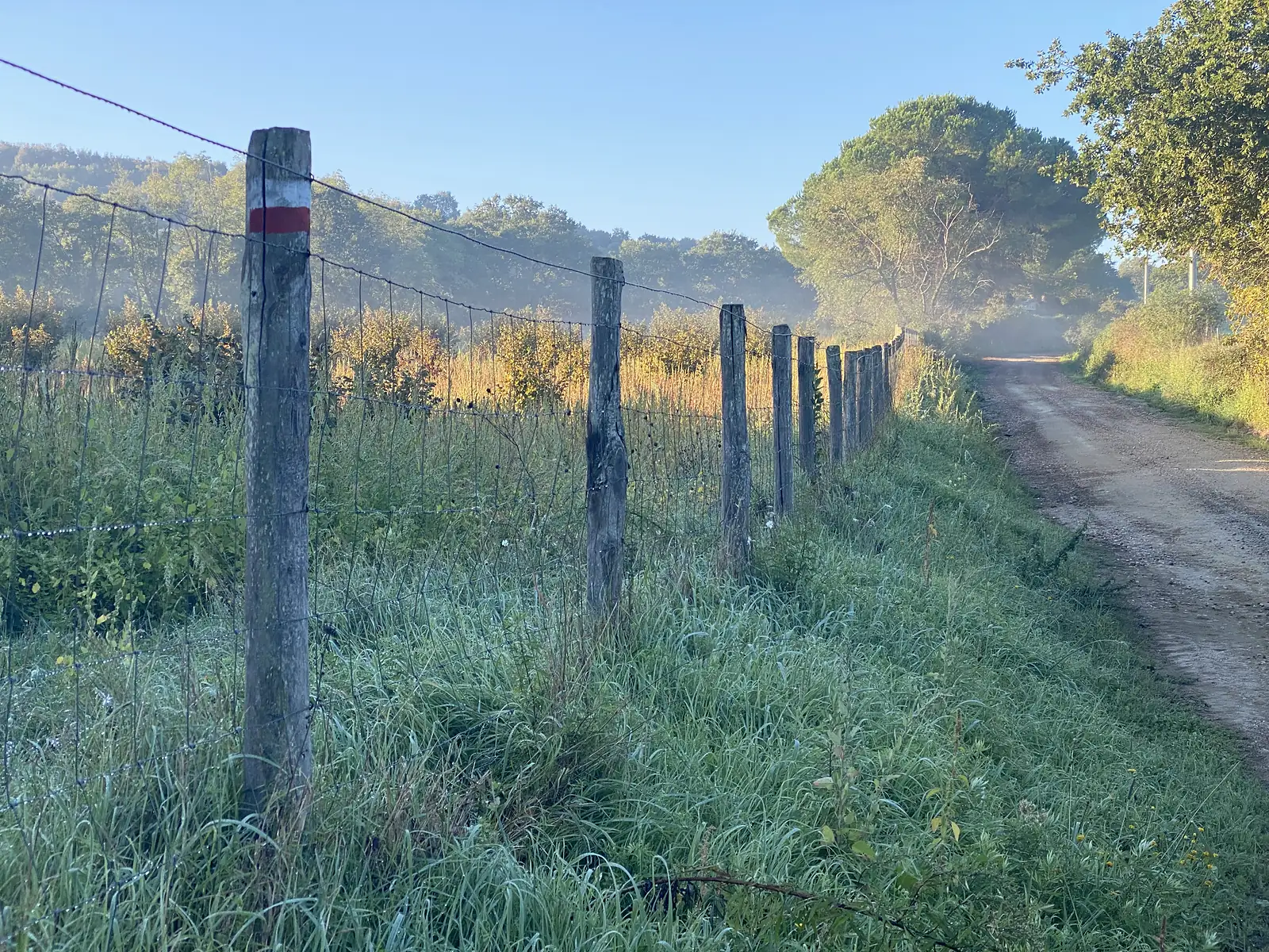 A wooden fence post marked with a red-and-white waymark alongside a wire fence, running beside a dirt track through dew-laden grass in early morning mist.