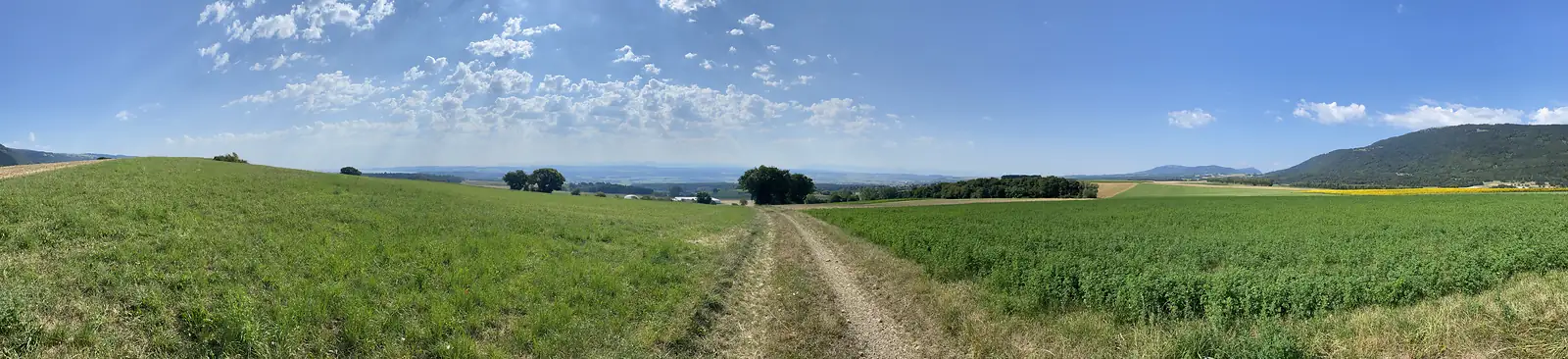 A wide panorama of a farm track running between green fields, with a distant lake and mountain range visible on the horizon.