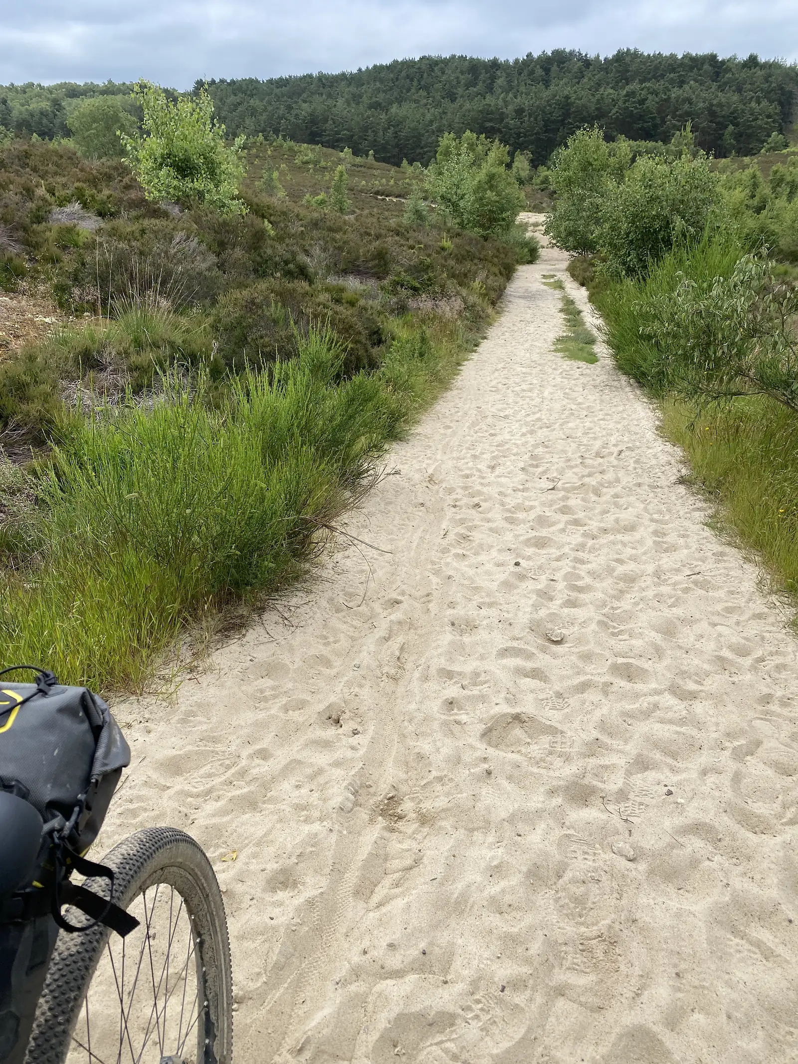 A deep sandy heathland track climbing between heather and gorse towards pine woods, a loaded bike's front wheel in the corner of the frame.