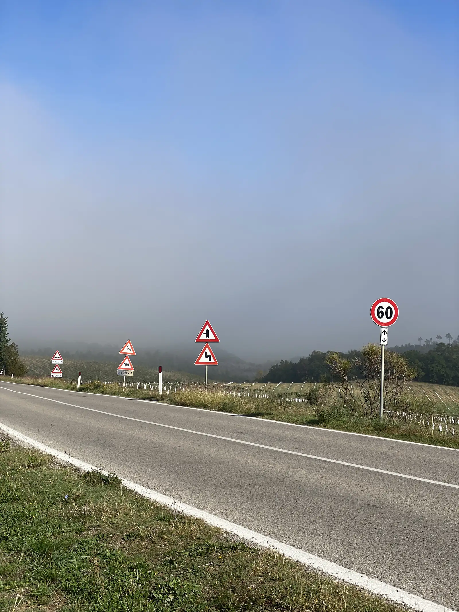 An open road beneath a blue sky, marked with a 60 km/h speed sign and a cluster of curve and hazard warning signs.