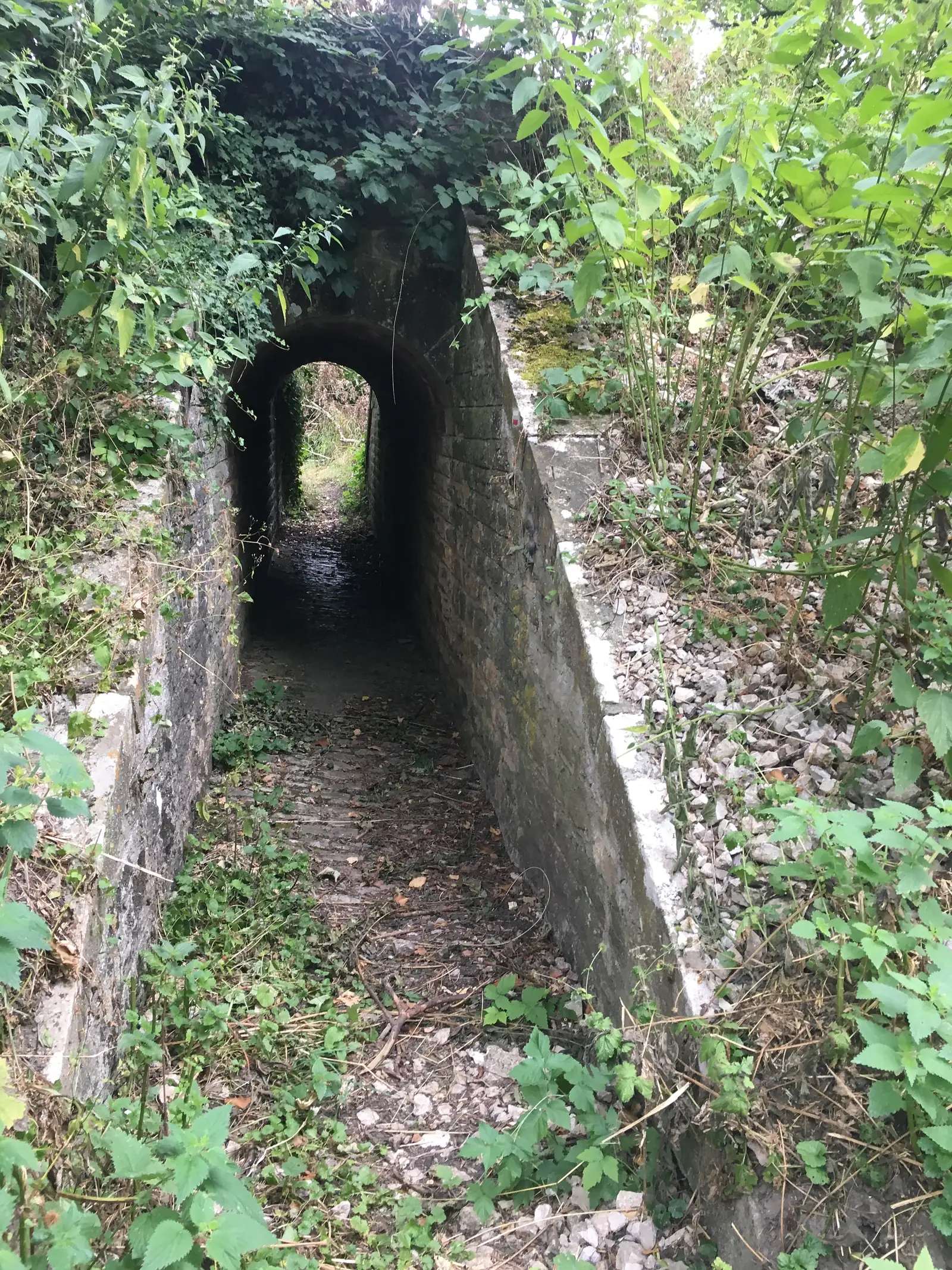 A narrow brick culvert tunnel carrying a stream beneath a track, framed by overhanging nettles and undergrowth.