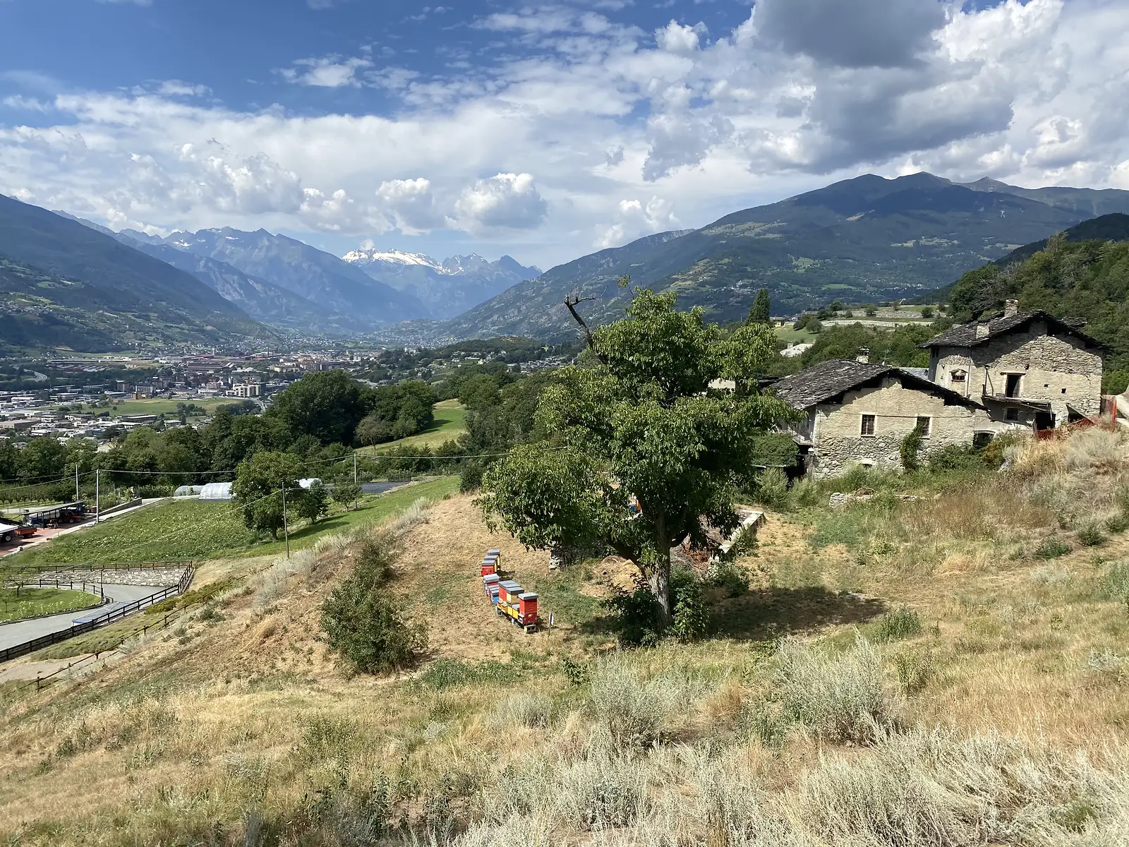 Rows of hive boxes sit beneath a tree on a dry hillside above a mountain town, a stone farmhouse nearby and a wide valley of snow-capped peaks receding into the distance.