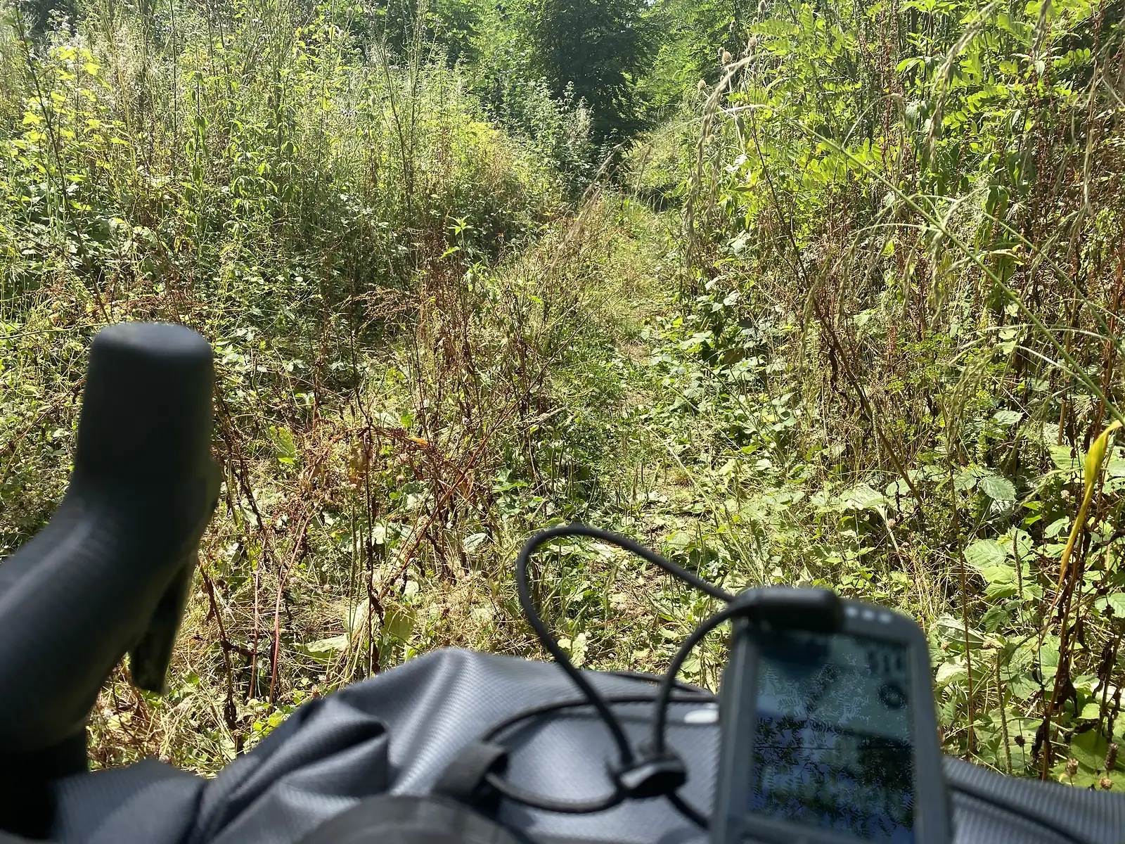 An overgrown grassy path pushes through tall nettles and brambles in woodland, a cycling computer mounted on the handlebars in the foreground.