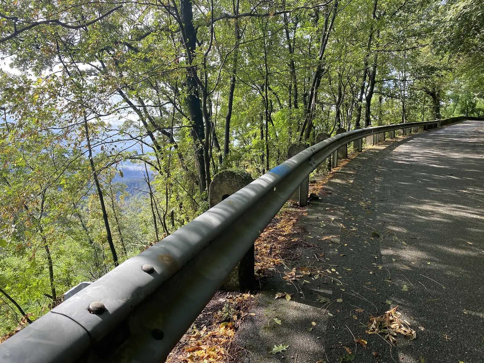 A guardrail curves alongside a shaded woodland road, with glimpses of hazy hills through the trees below.