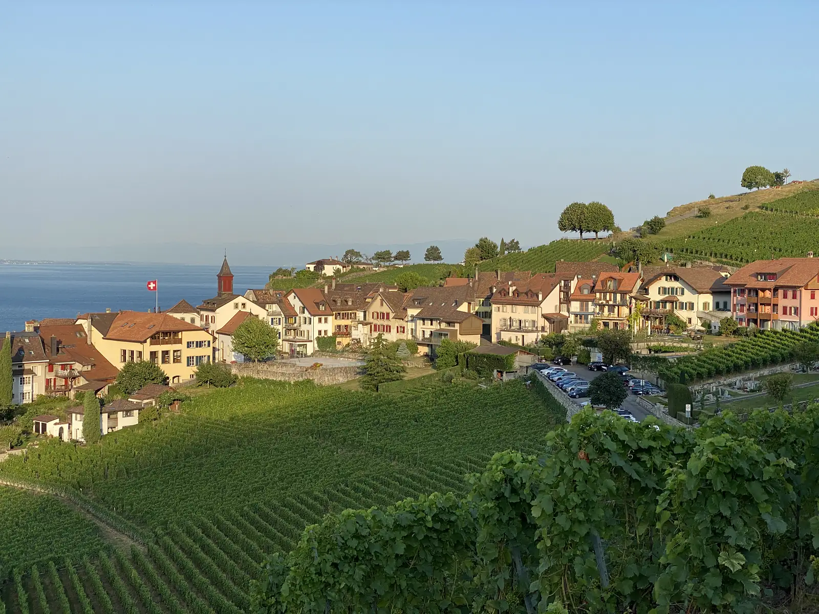 A Swiss lakeside wine village of red-roofed houses and a church tower set among vineyard terraces above Lake Geneva, seen in early morning light.