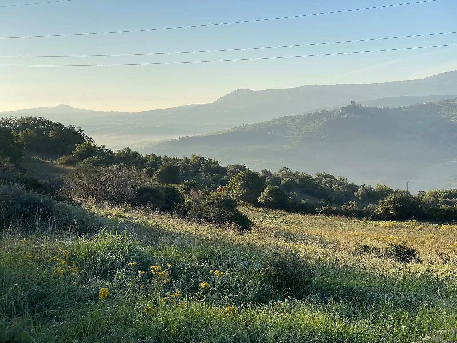 A hazy dawn view across a wooded valley towards a distant hilltop settlement, with yellow wildflowers in the foreground and power lines overhead.