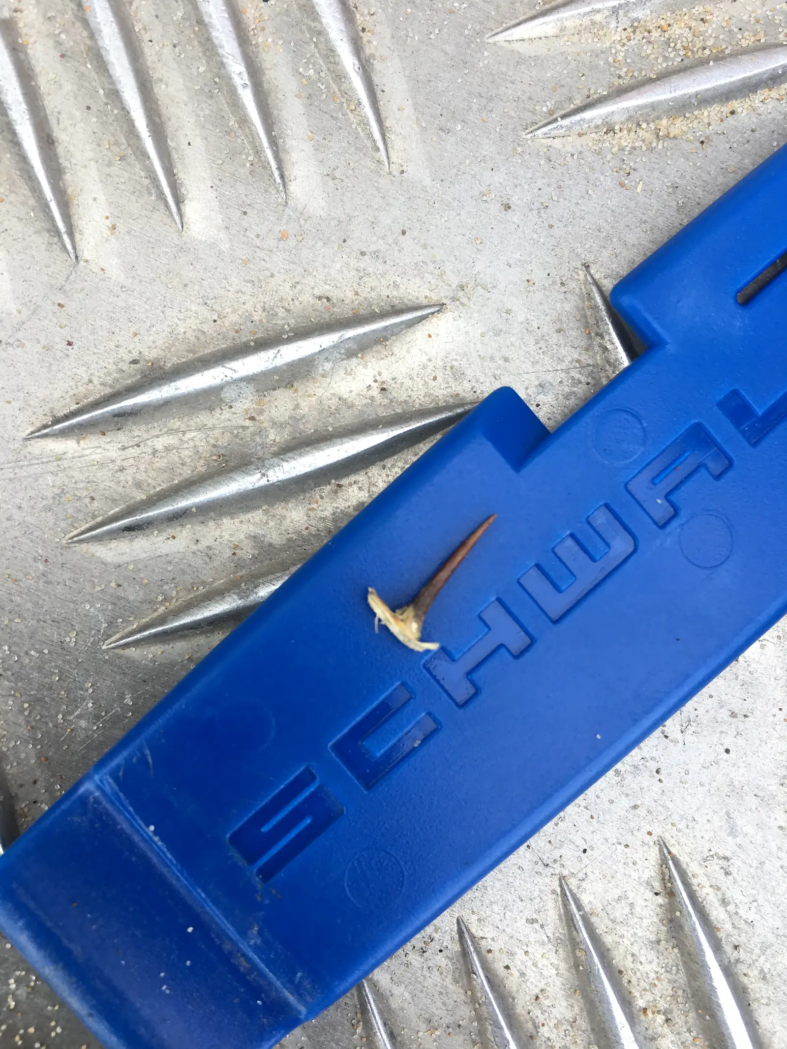 A small fish bone resting on a blue plastic buckle strap laid across a ridged aluminium chequer-plate surface.