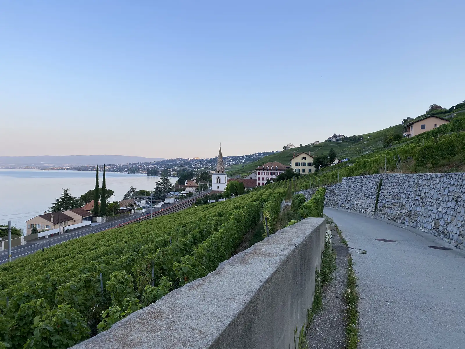 A lakeside village church spire rising among vineyard terraces on the slopes above Lake Geneva, with a stone wall path running through the vines at dusk.