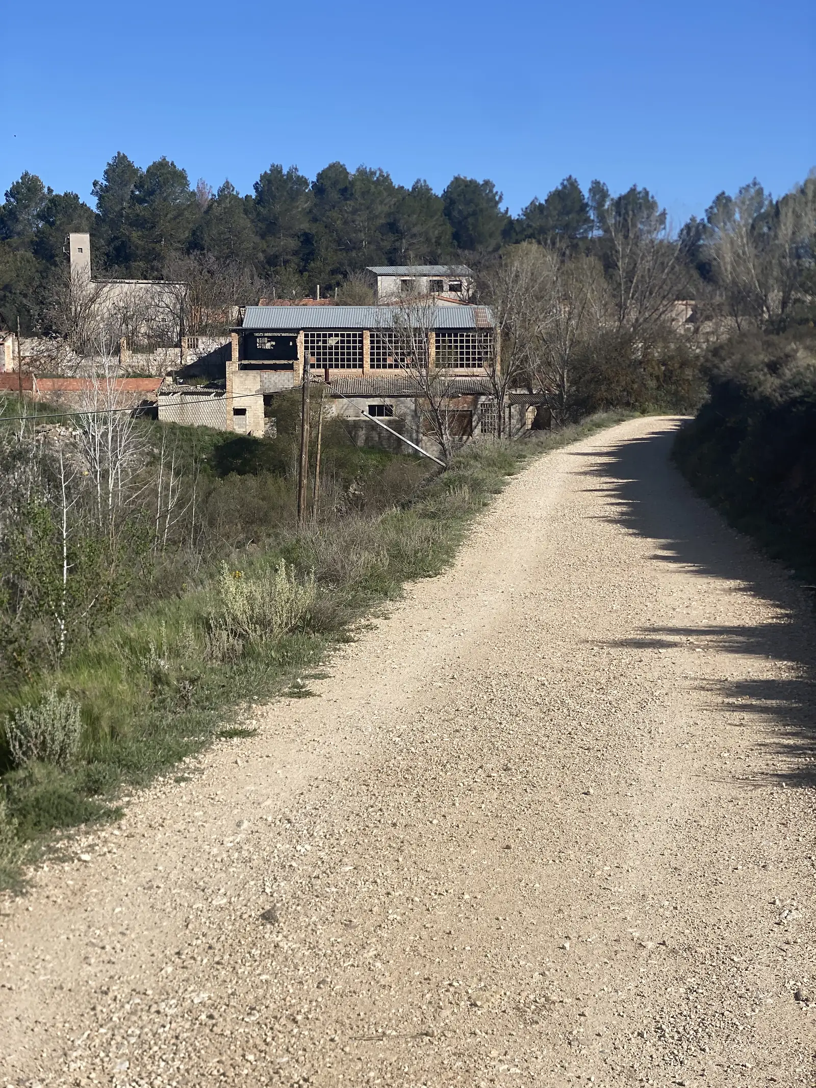 A gravel track running past a derelict factory of broken-windowed sheds and a tall chimney among pines.