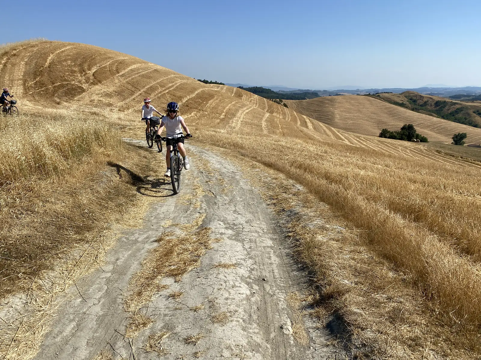 Children cycle towards the camera along a chalky dirt track cutting through harvested golden hills contoured with tractor lines, more hills rolling to the horizon.