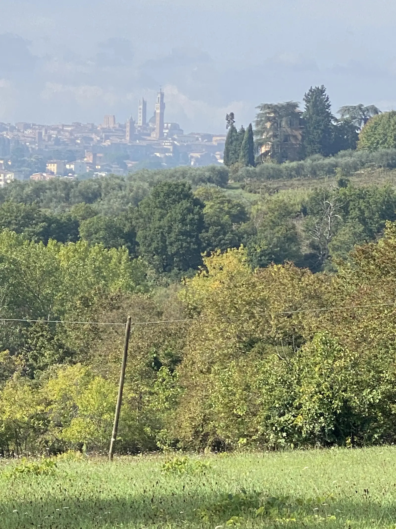 A distant hilltop town with a tall church tower rising above its rooftops, seen hazily across vineyards and fields.