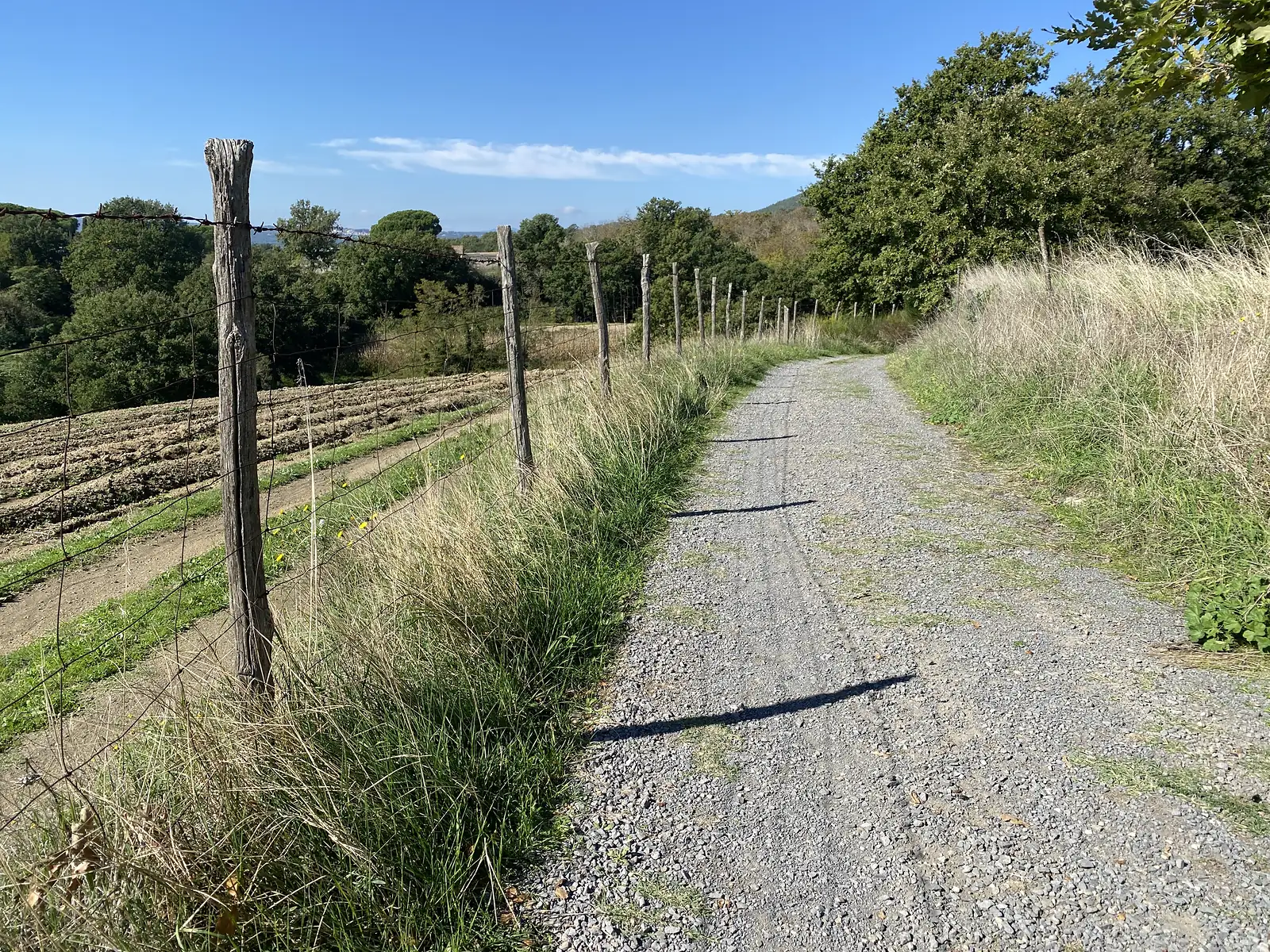 A gravel path runs beside a weathered wooden fence post and barbed wire, with ploughed fields below and wooded hills beyond.
