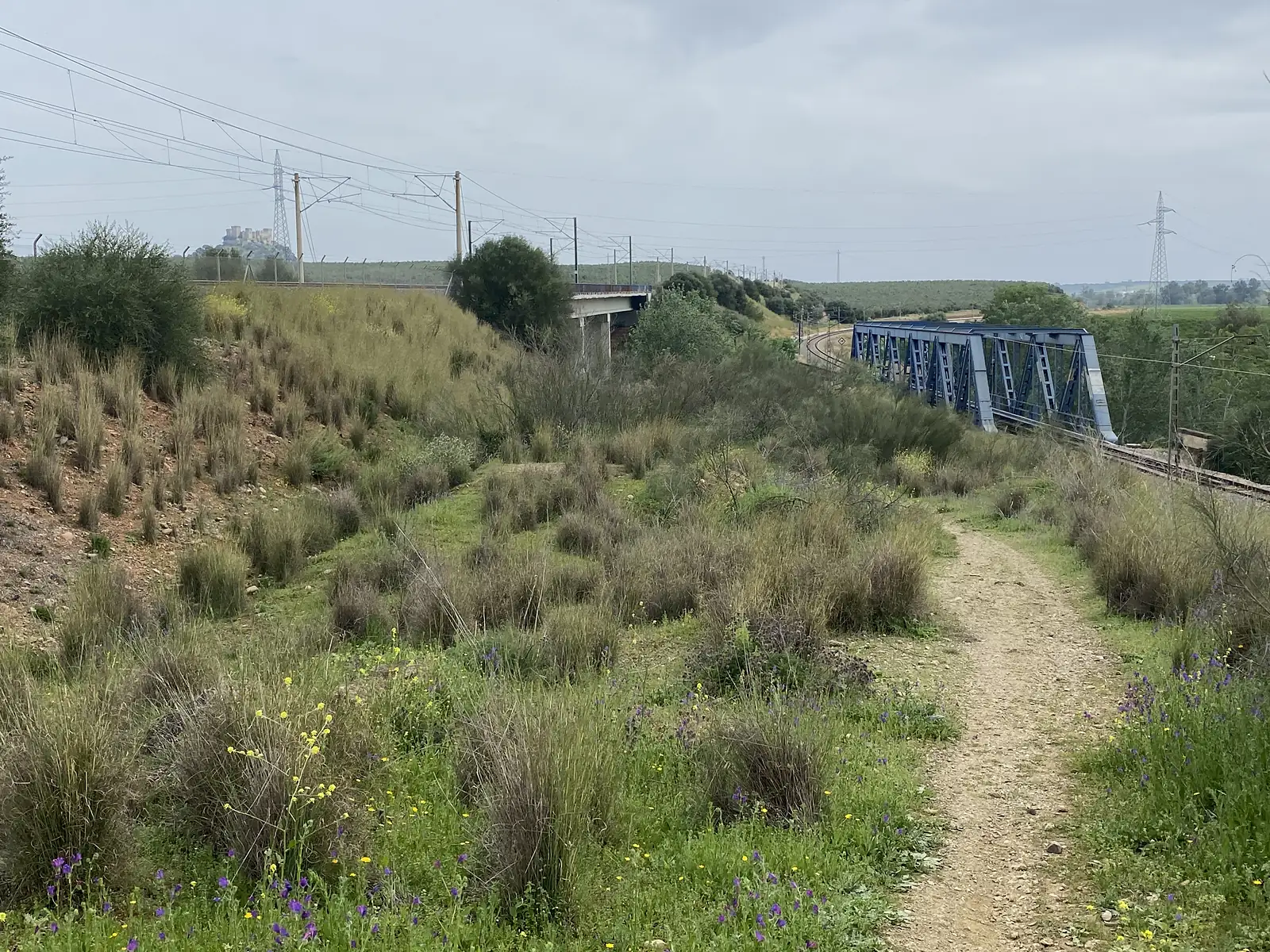 A gravel path running beside a railway line towards a blue steel truss bridge, with a hilltop castle in the distance.