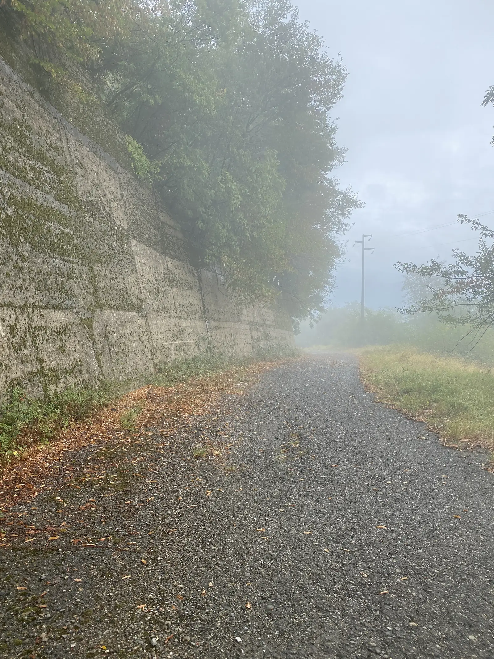 A steep, weathered concrete track climbs uphill through trees, viewed looking sharply upward with fog softening the summit.