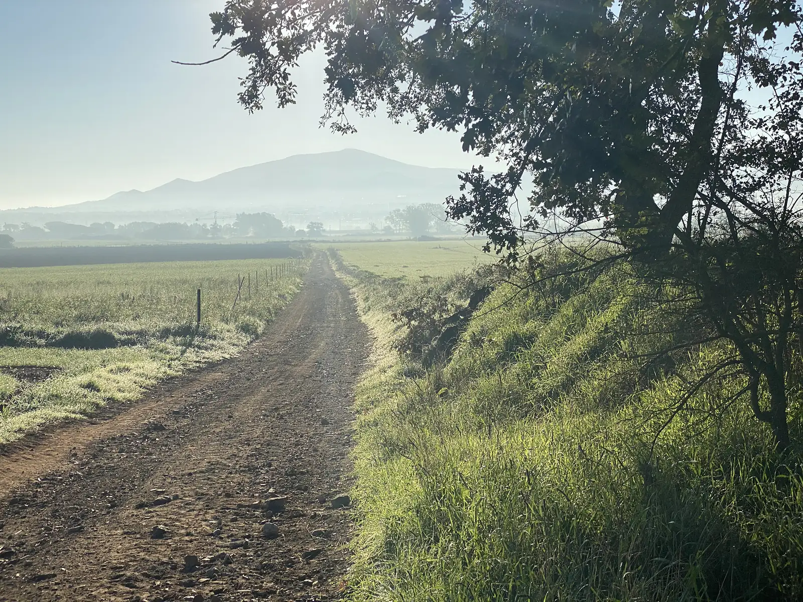 A dirt farm track running flat across open fields towards a hazy conical hill, an oak tree overhanging the path on the right.