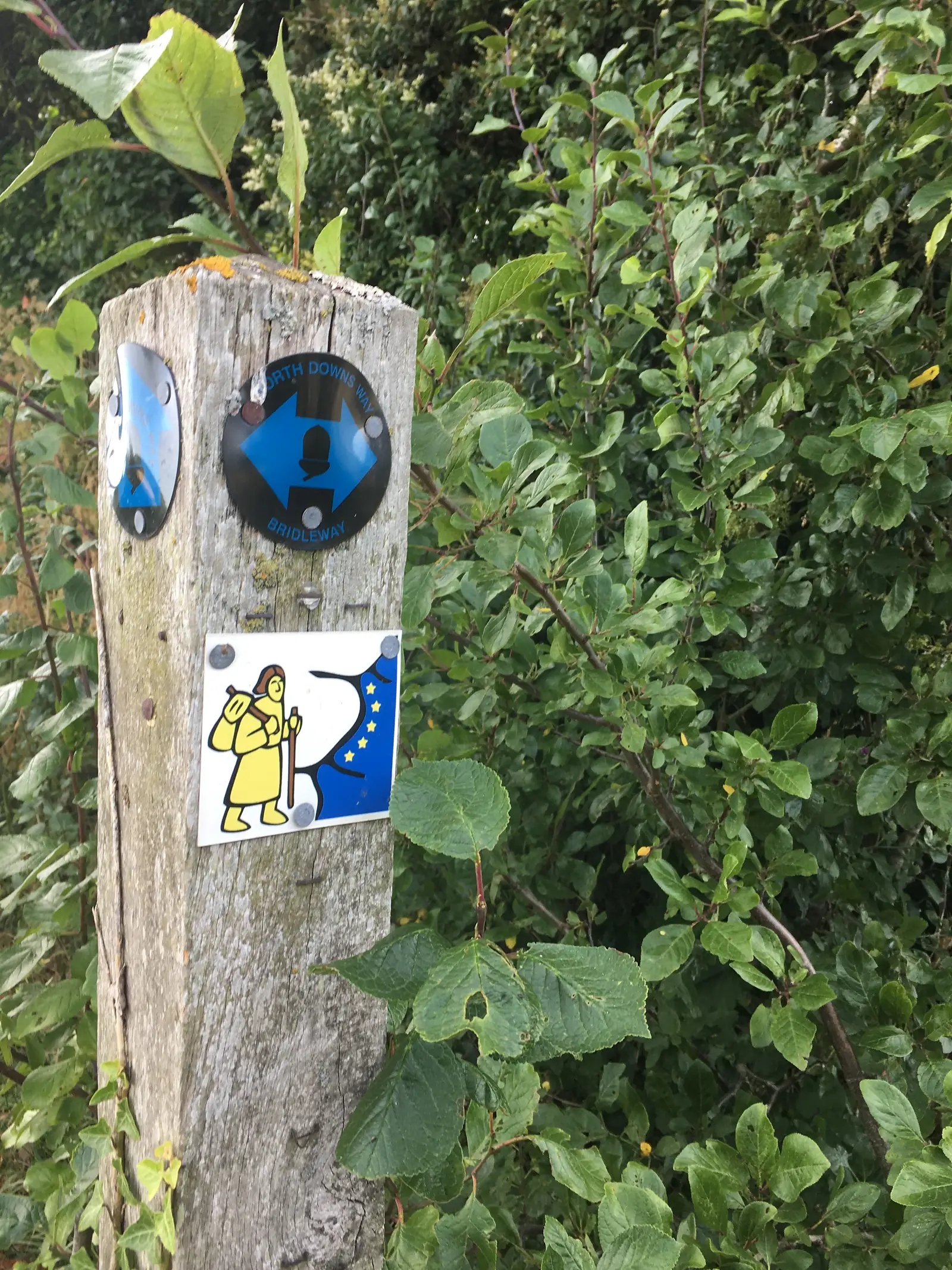 Via Francigena sign