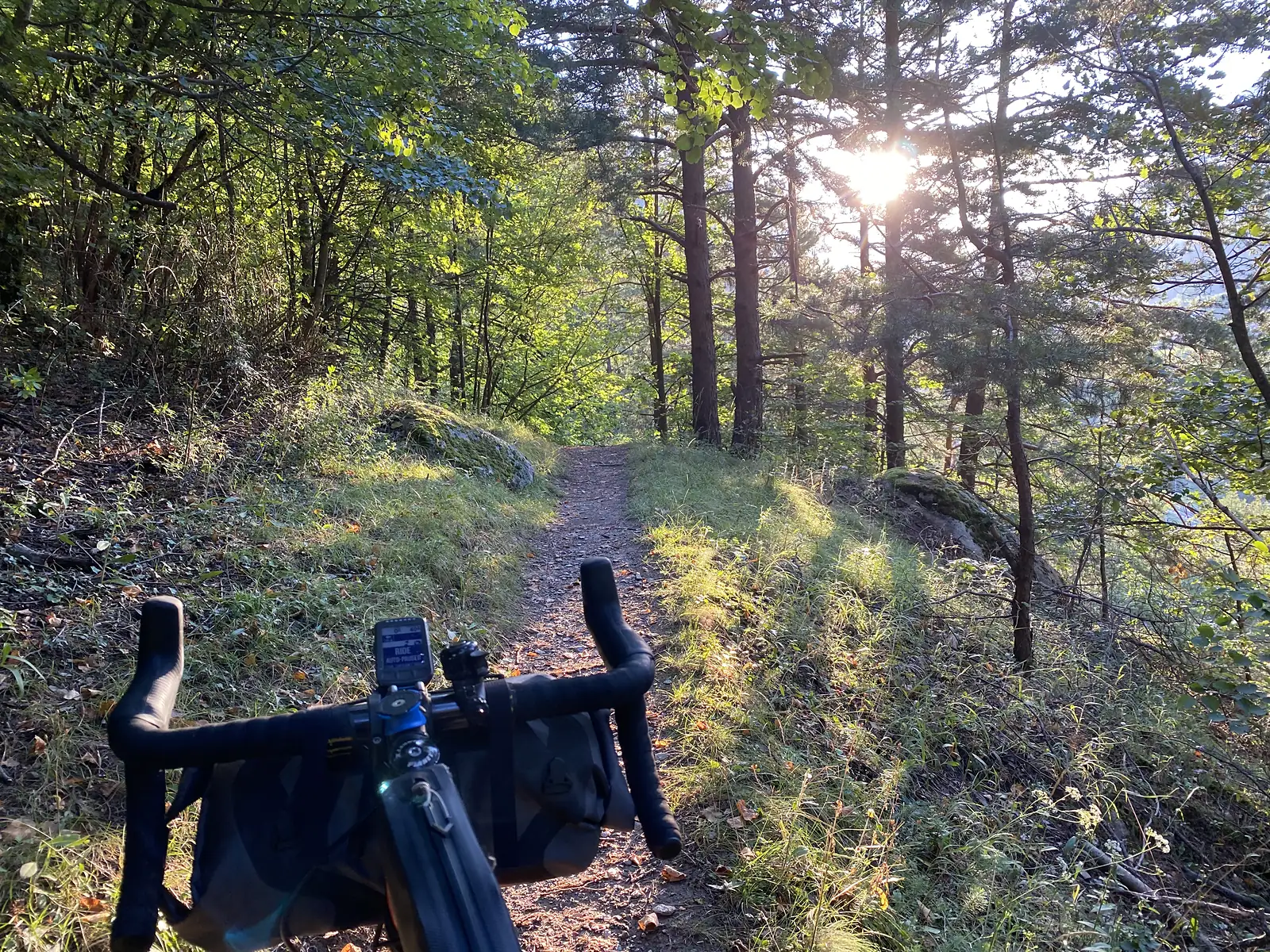 The handlebars of a loaded touring bike, hung with a bikepacking bag and cycle computer, framing a sunlit forest trail with the sun low through the trees.