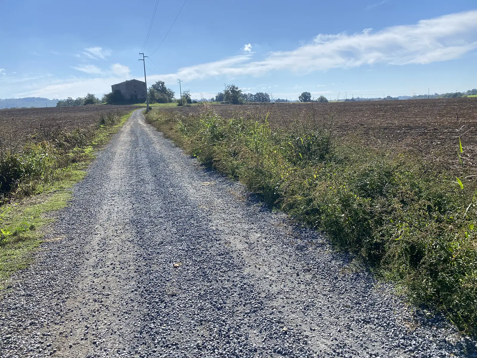 A gravel farm track lined with tall grasses leads towards a stone farmhouse on a ridge, with ploughed fields either side.