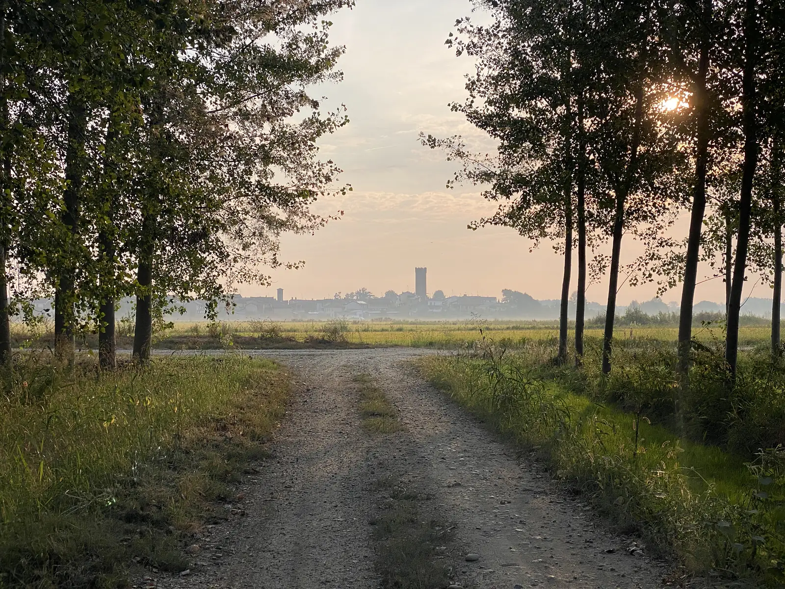 A tree-lined farm track leads towards a distant hilltop town whose square tower rises above the rooftops in the haze.