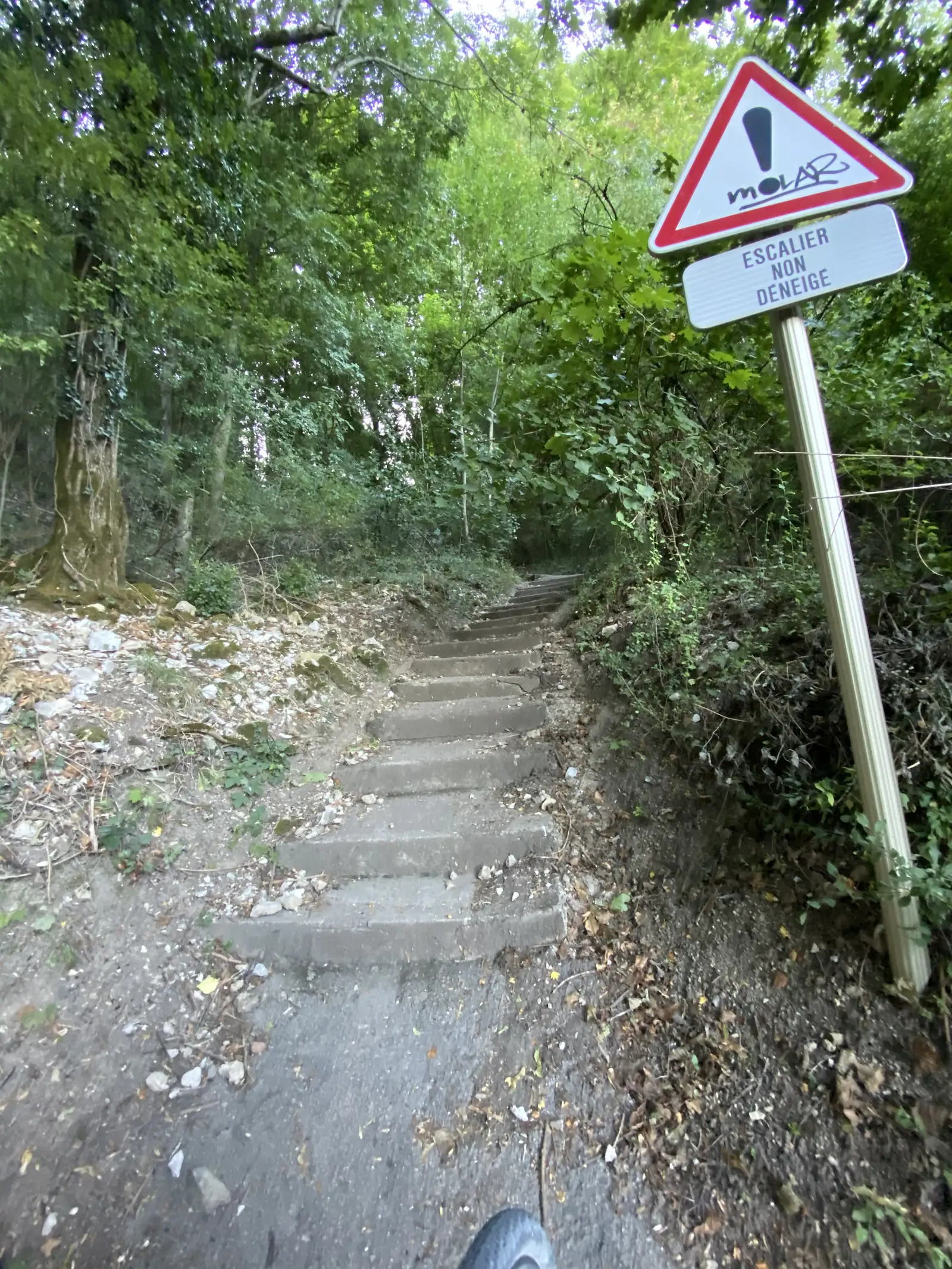 A red-and-white warning sign reading 'ESCALIER NON DÉNEIGÉ' stands beside a steep flight of stone steps disappearing into dense woodland.