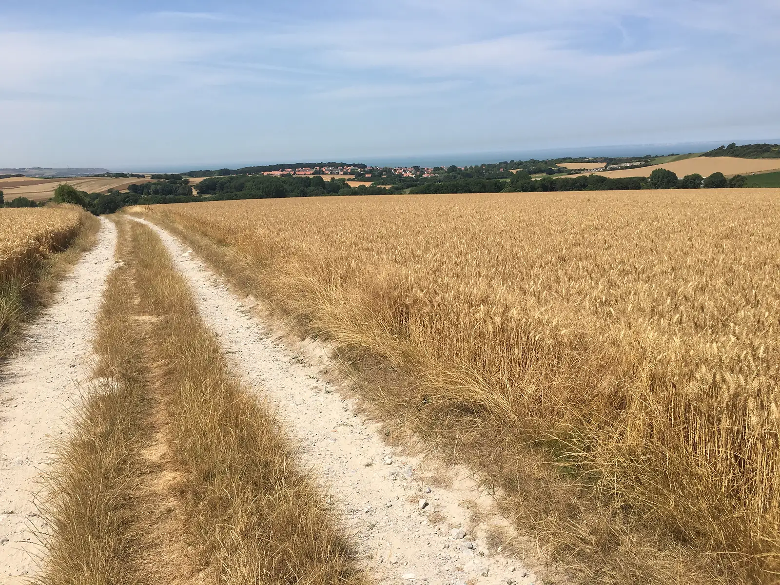 A chalky farm track running through a golden wheat field towards a village of red-roofed houses, with the sea visible on the horizon.