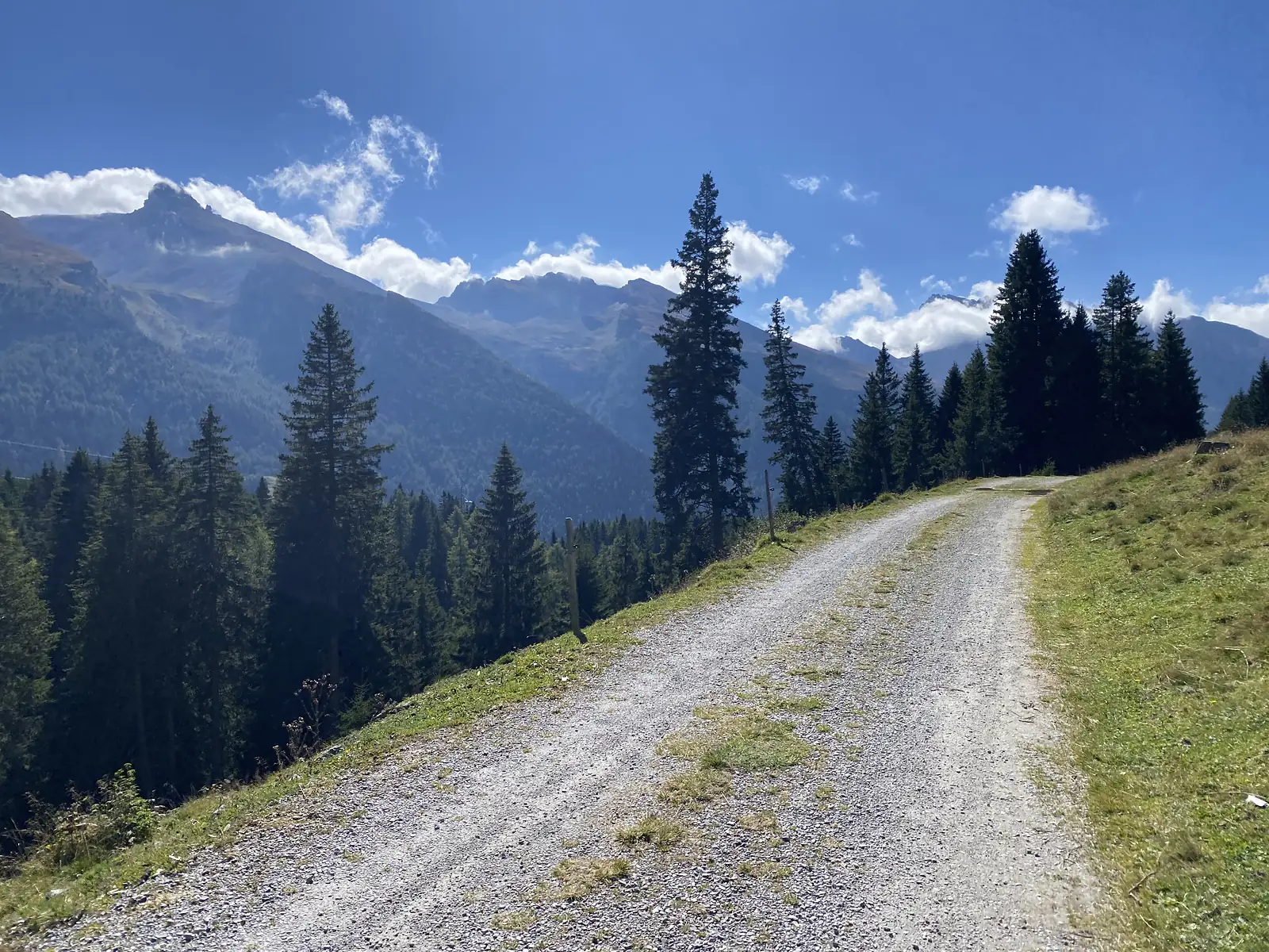 A stony track climbs across an open hillside past spruce and larch, with a rocky ridge and drifting cloud beyond.