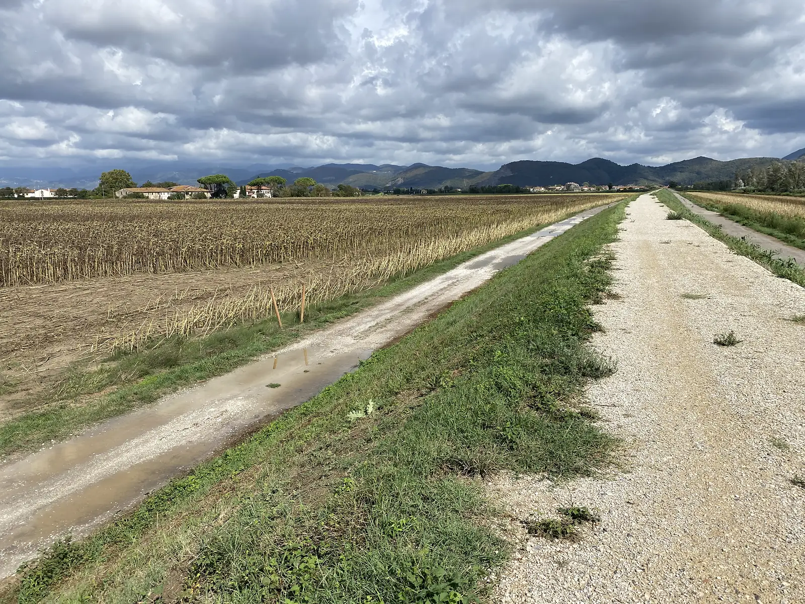 A gravel embankment track running beside a harvested sunflower field, with hills and a hilltop village under a heavy sky.