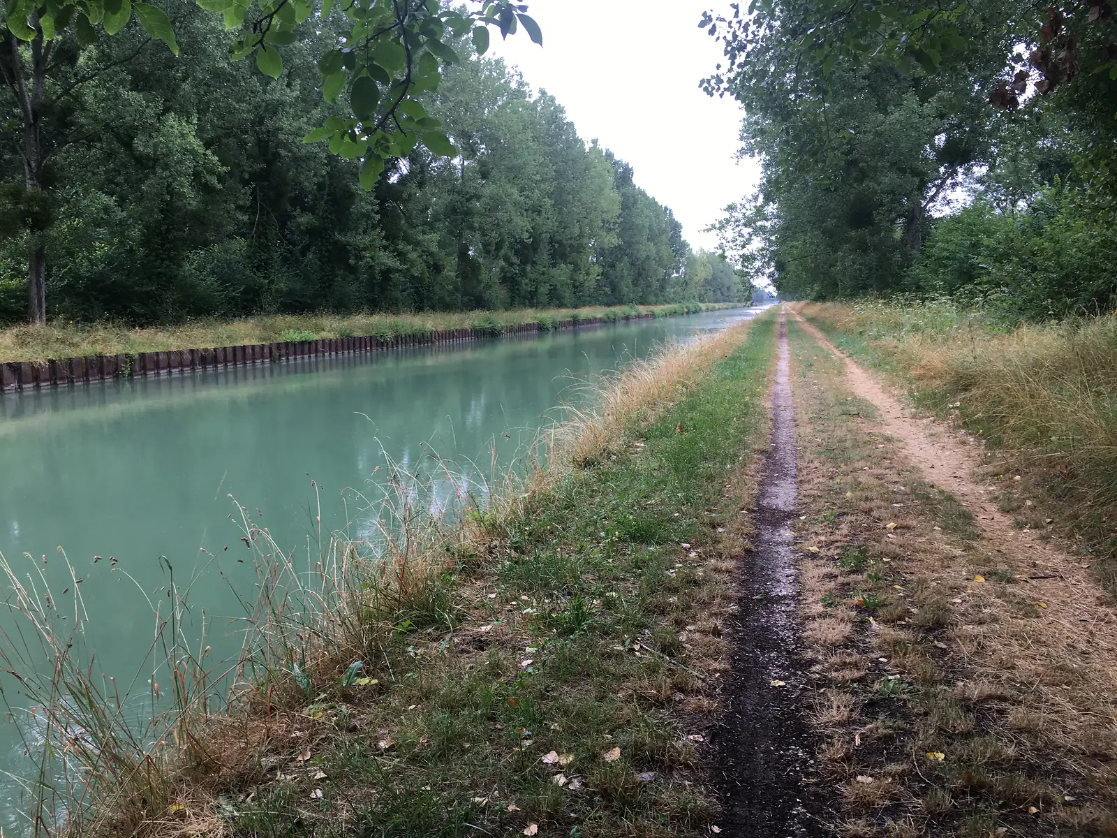 A narrow towpath runs alongside a still, tree-lined canal on the Via Francigena, its water tinged pale green and edged with reinforced banks.