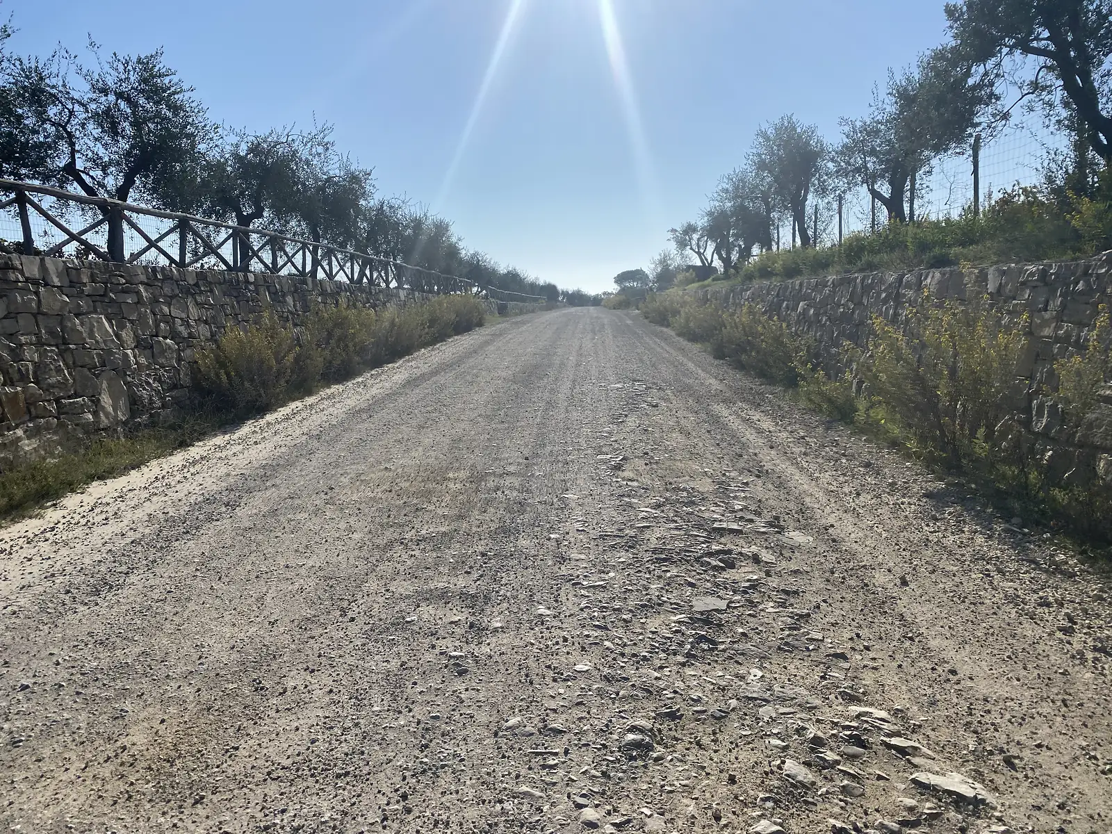 A straight gravel road running between dry-stone walls topped with olive trees, climbing gently towards a bright horizon.