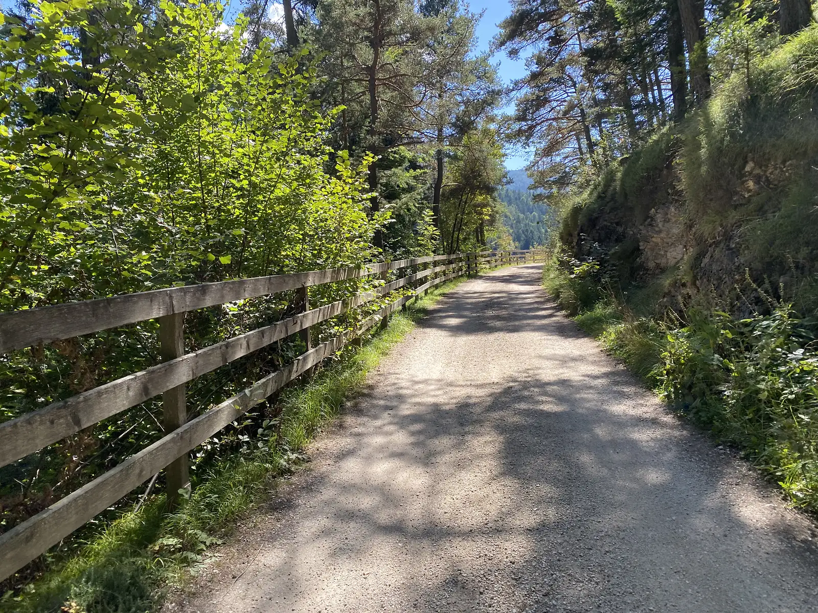 A gravel track runs through open pine woods past a weathered post-and-rail fence, sunlight dappling the surface and forested ridges closing in ahead.