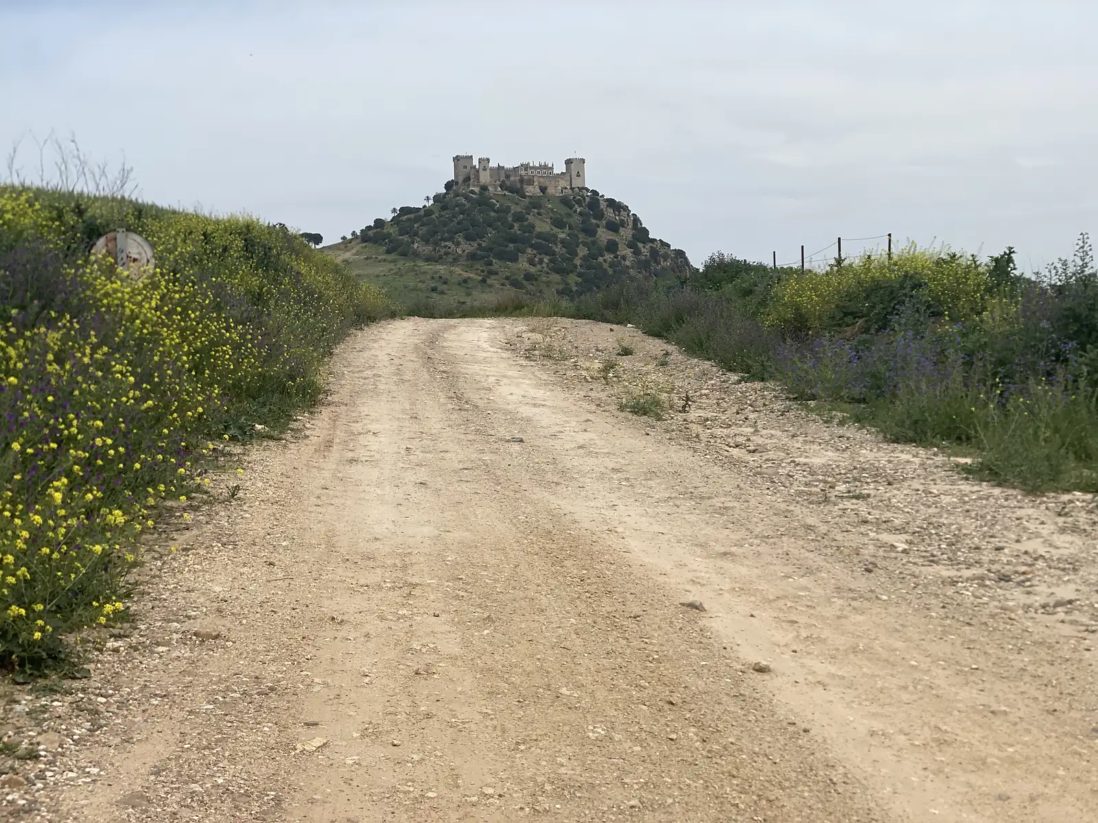 A dirt track running between banks of yellow and purple wildflowers towards a large battlemented castle on a wooded hilltop.