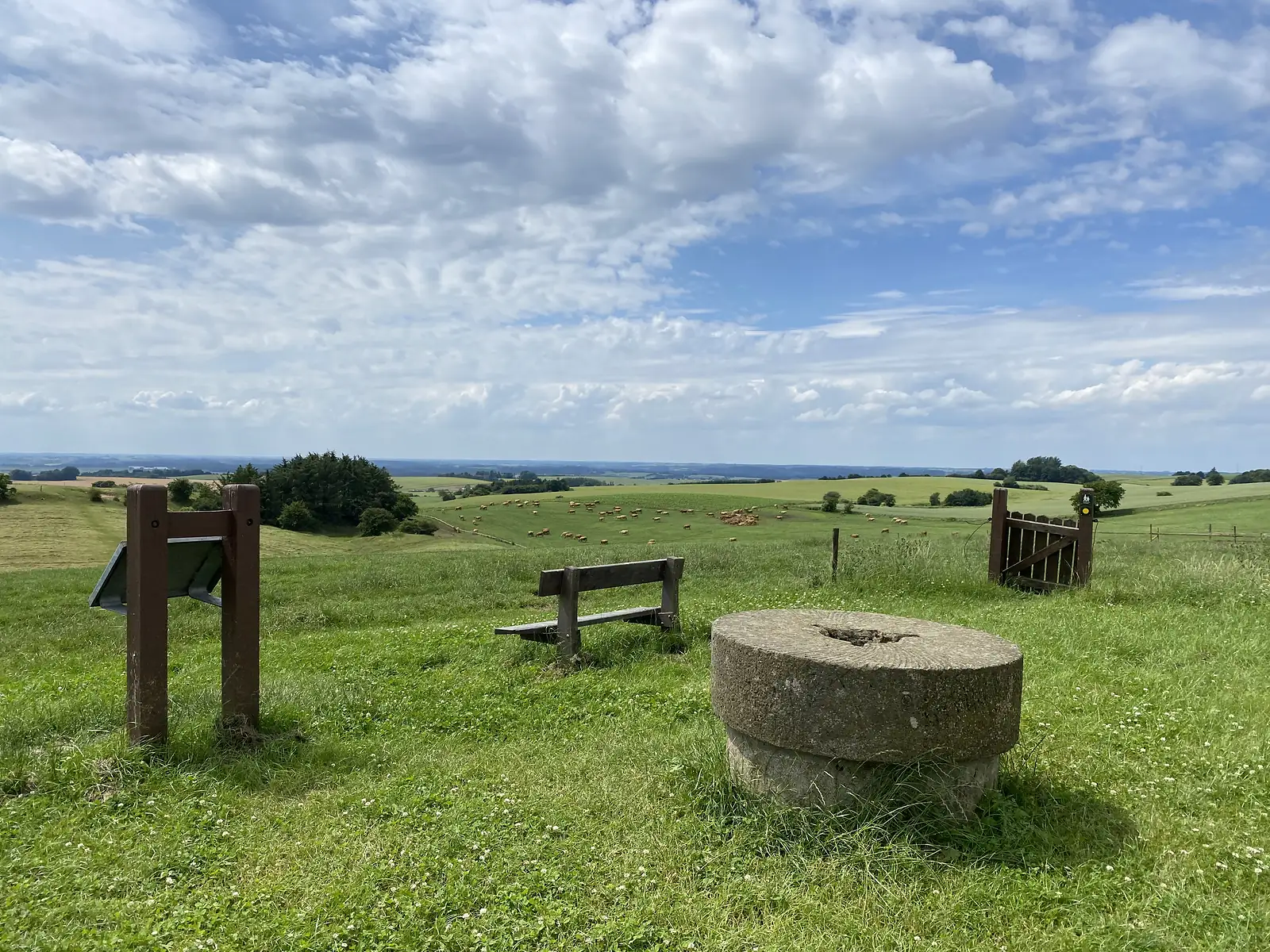 A millstone, a wooden bench and interpretation frames on a grassy hilltop viewpoint, looking over pasture where cattle graze and a wide plain beyond.