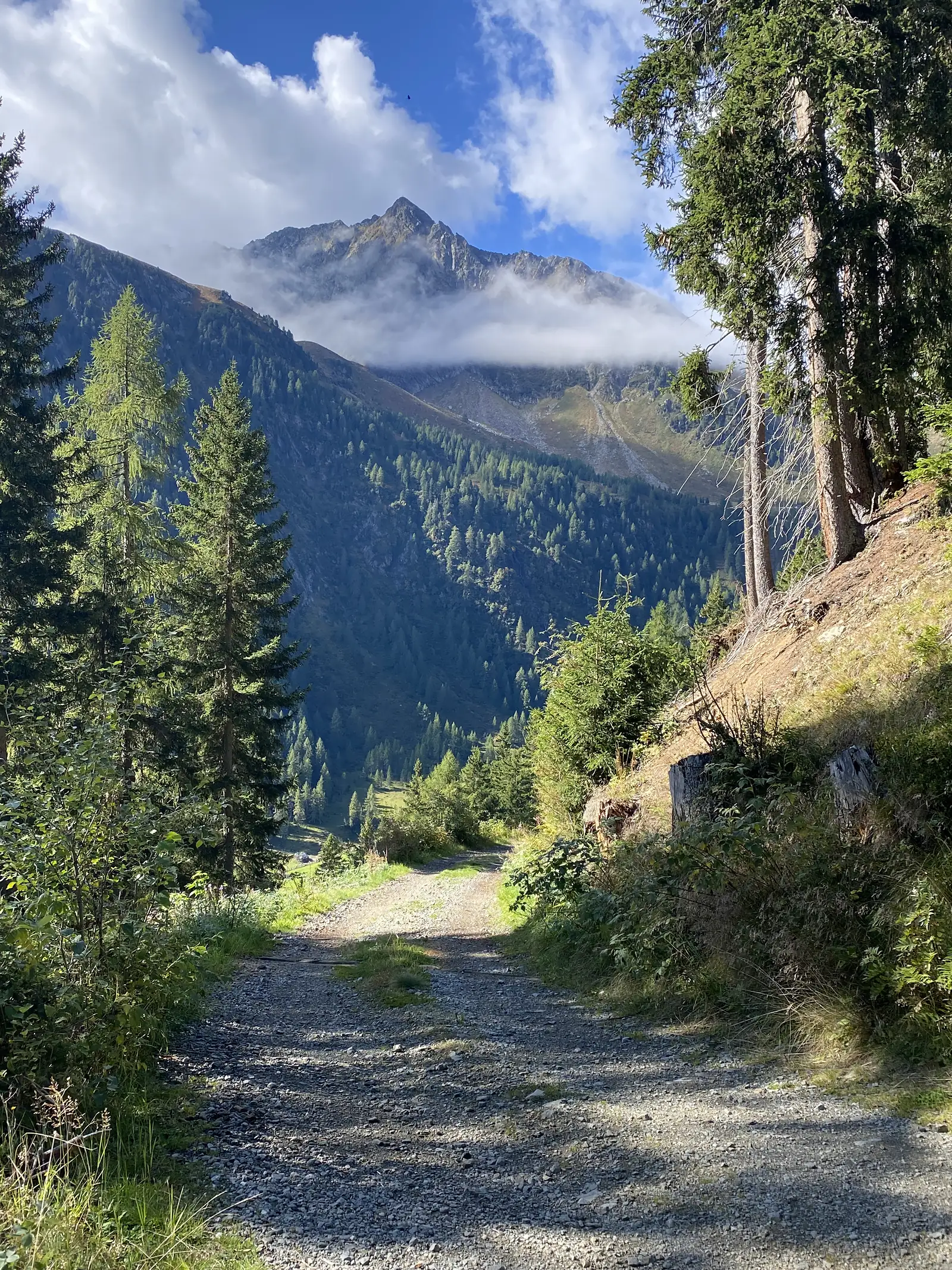 A gravel track climbs into a wooded side valley towards a sharp peak with cloud lying along its flank.
