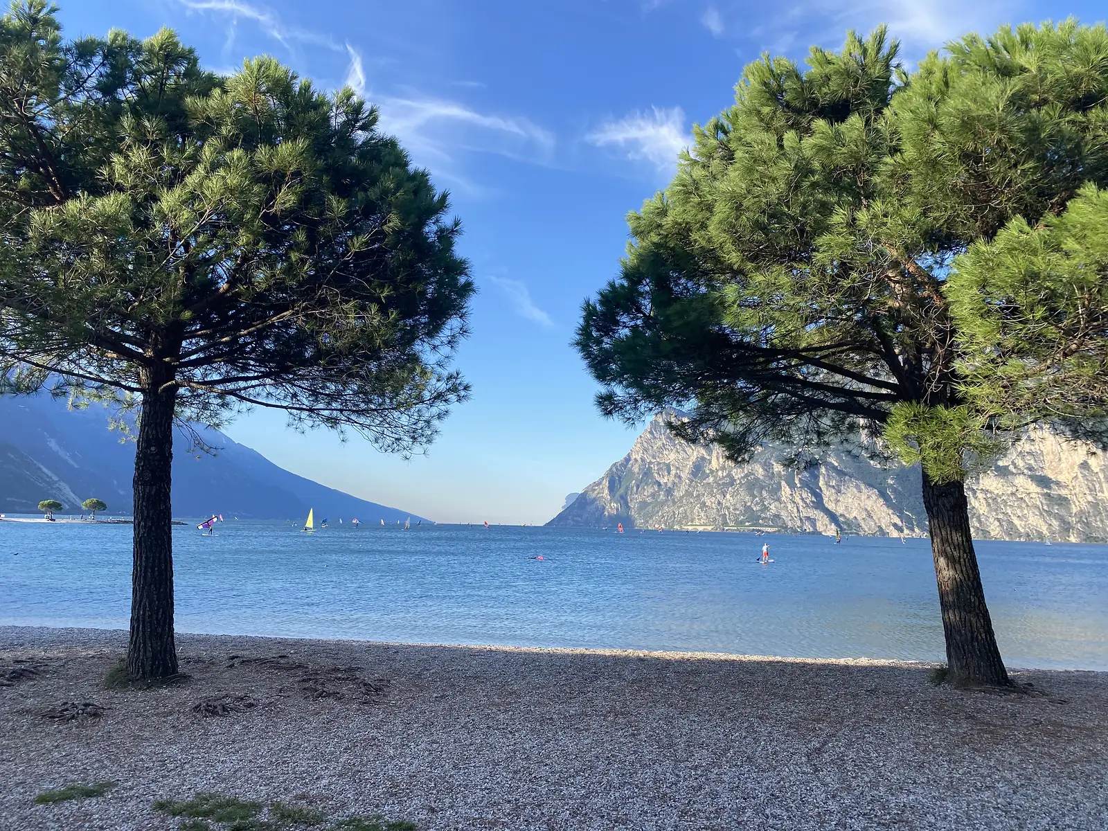 Two umbrella pines frame a gravel beach and a lake dotted with windsurfers and small sails, a pale cliff rising on the far shore.