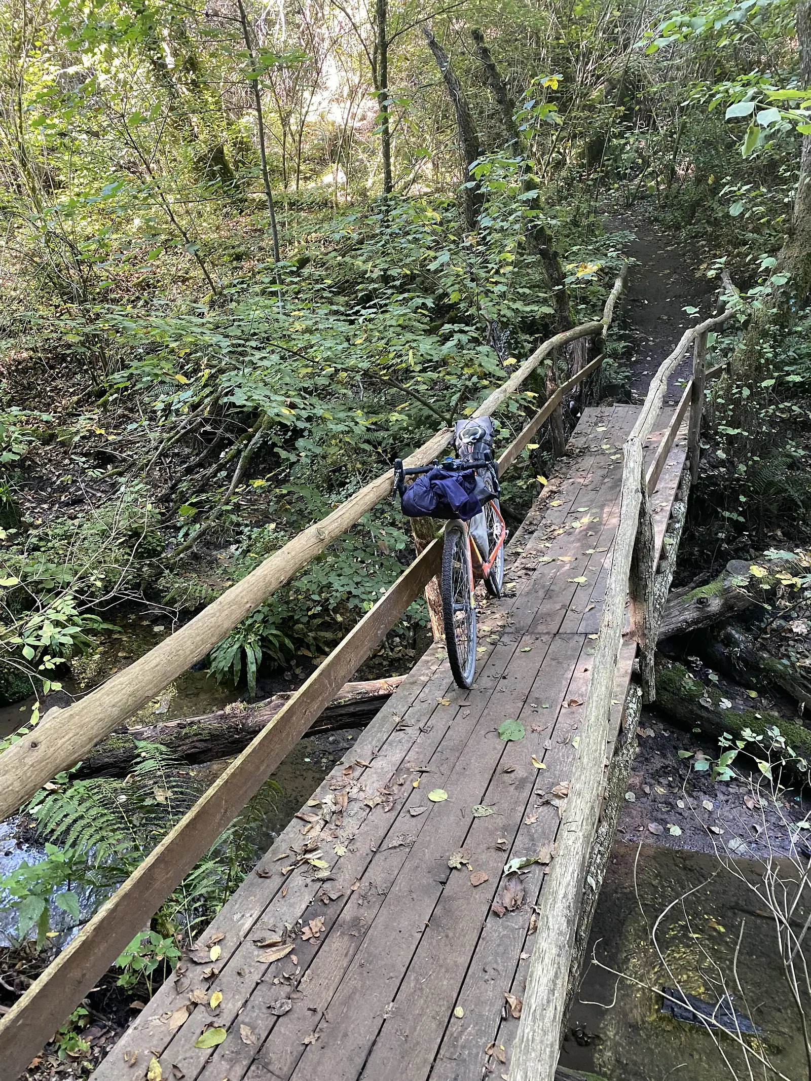 A loaded touring bike crossing a narrow wooden plank footbridge over a stream in a shaded, ferny woodland.