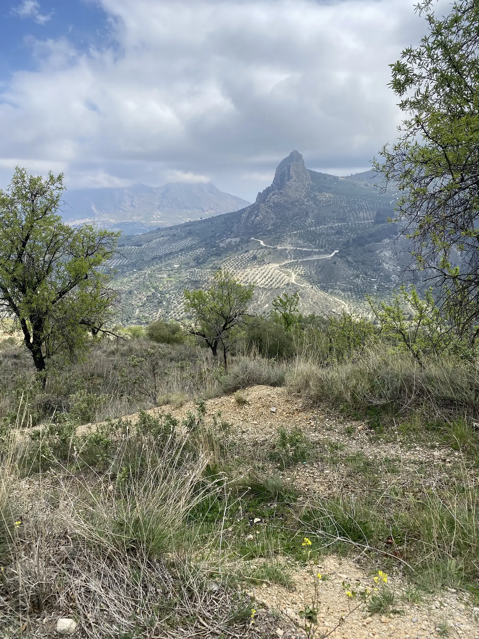 A bare rocky peak rising above terraced olive groves, seen from a scrubby ridge under broken cloud.