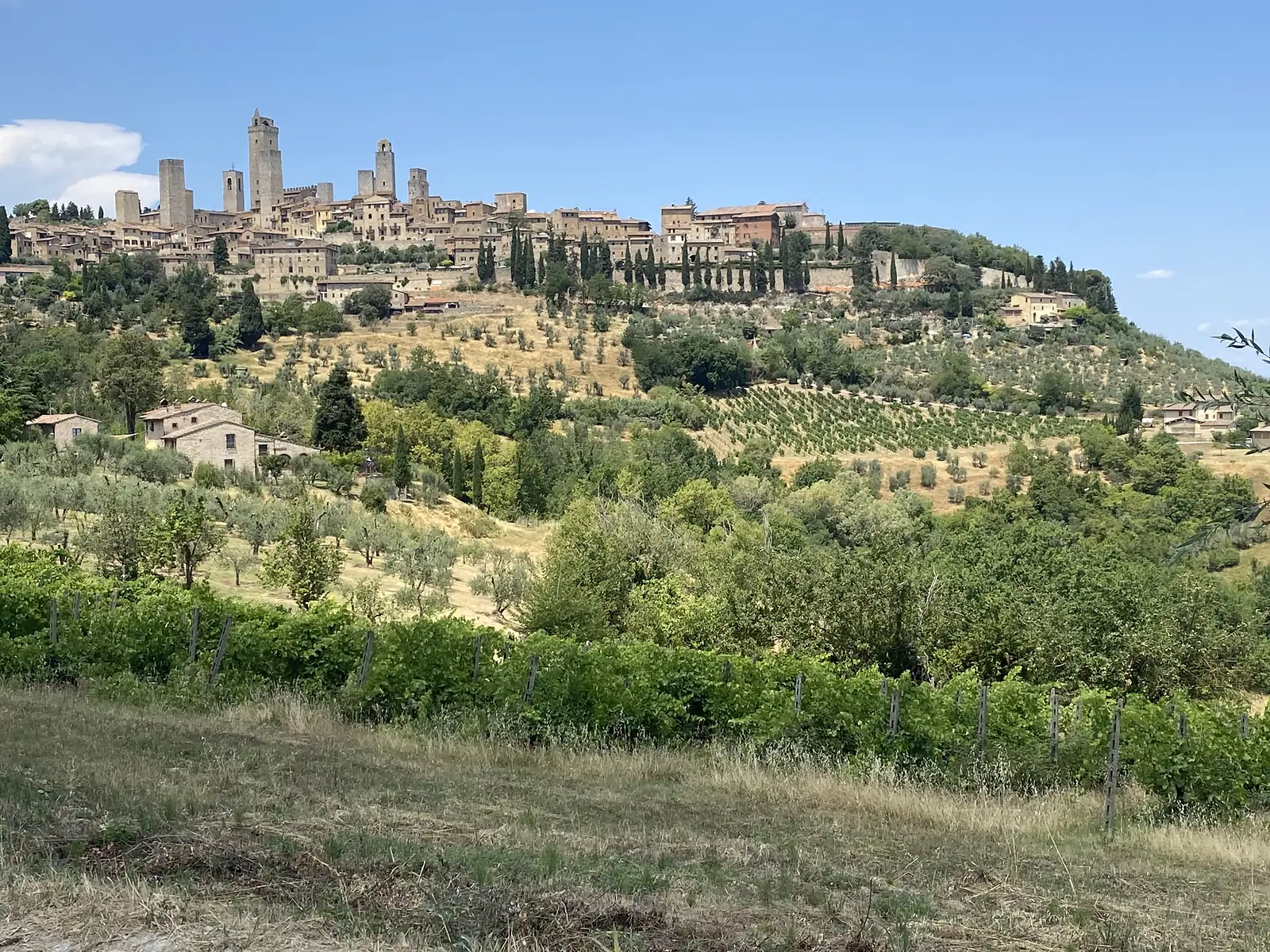 A walled hill town crowded with stone towers rises above vineyards and olive groves under a clear blue sky.