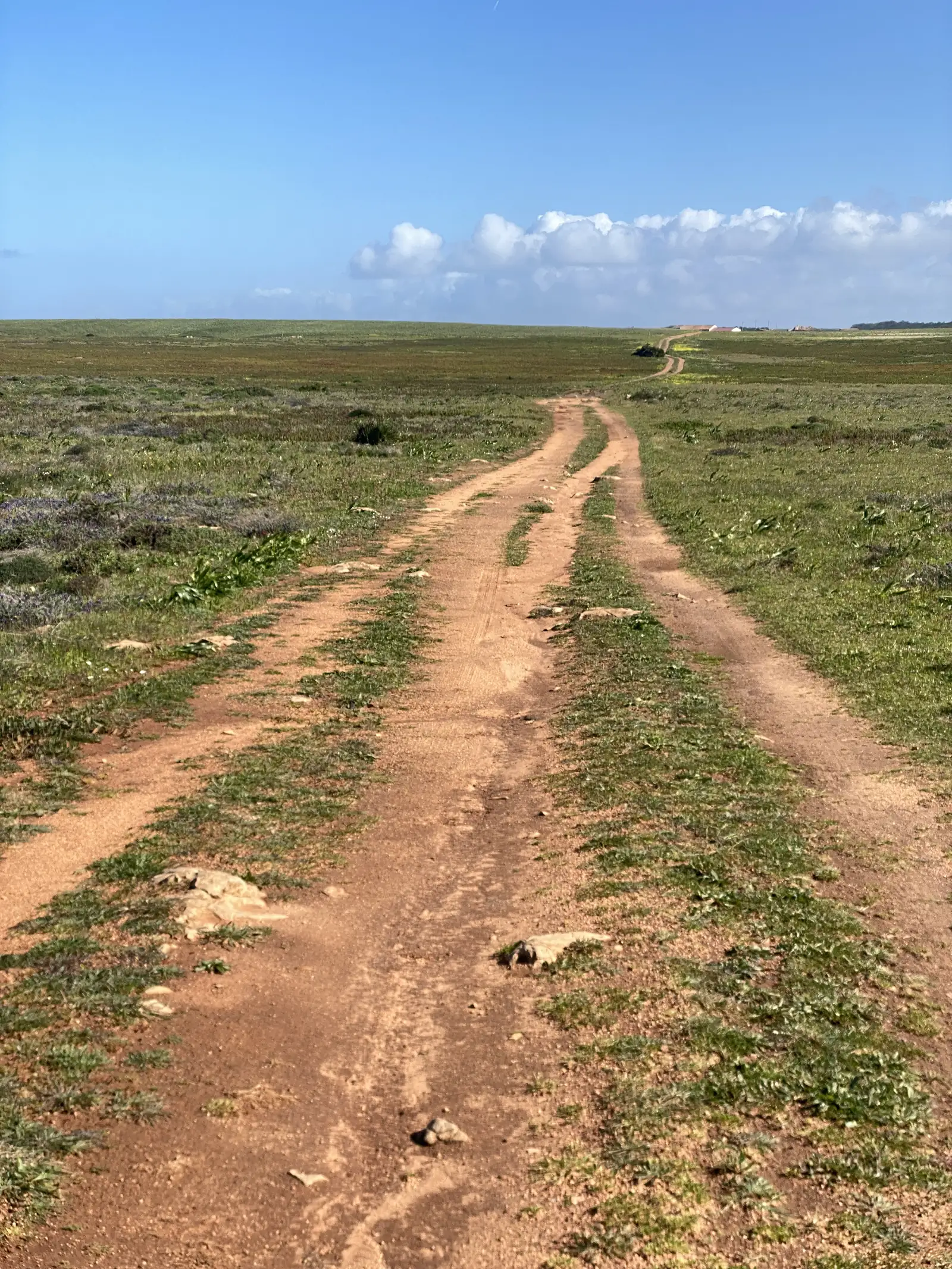 Twin-rut earth track running dead straight across a flat green plain to a distant white building on the horizon, under a blue sky with a line of cumulus.