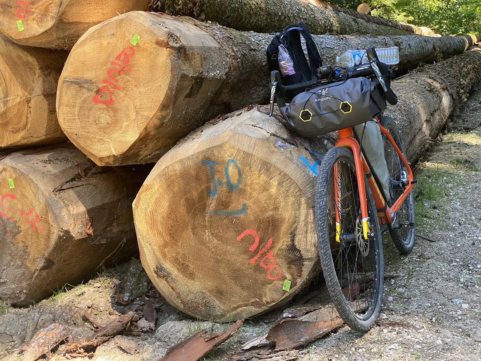 A loaded orange bike leans against a stack of freshly felled and numbered tree trunks at the roadside.