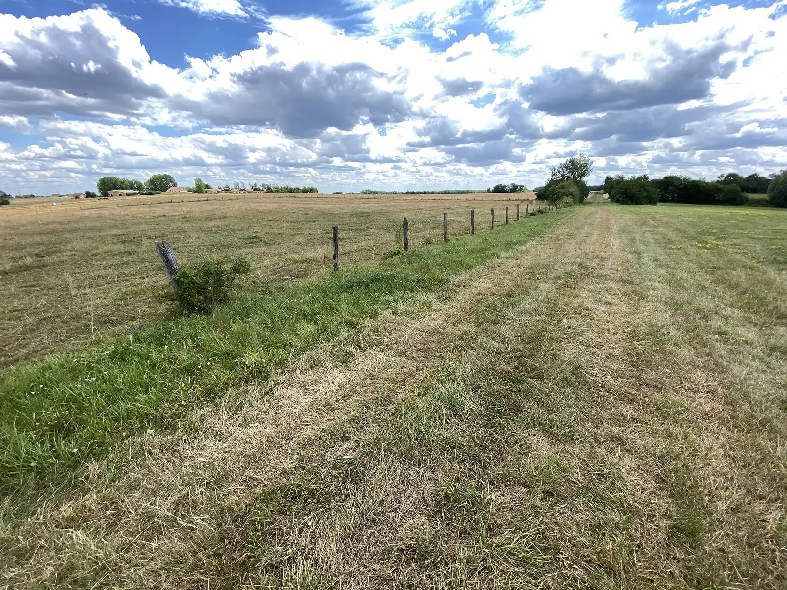 A line of weathered fence posts strung with wire runs across a mown field toward distant farm buildings under a cloud-streaked sky.