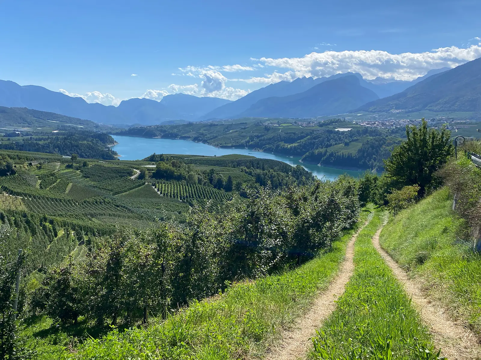 A grassy double-track drops through terraced apple orchards towards a turquoise reservoir, with hazy ridges and scattered villages on the far shore.