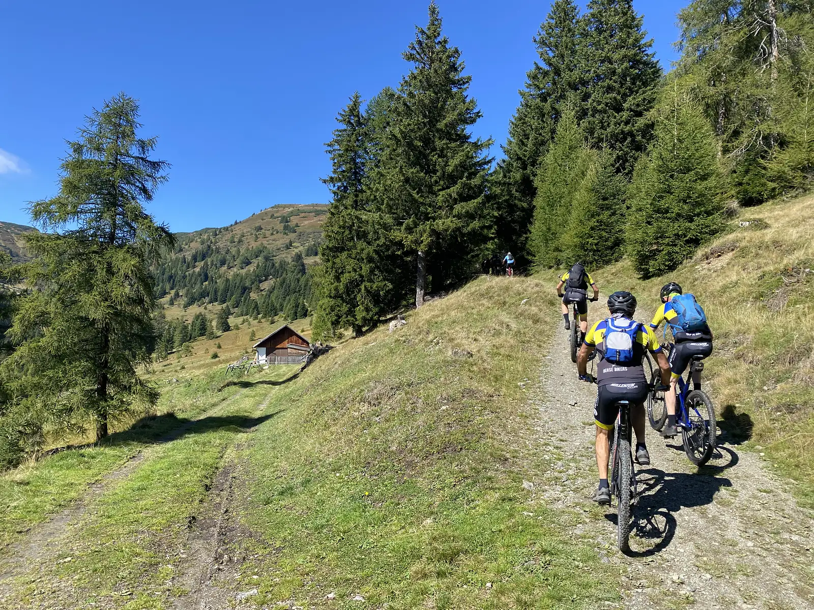 Three mountain bikers in cycling kit push and ride up a steep stony track past a timber hut on a high alpine pasture.