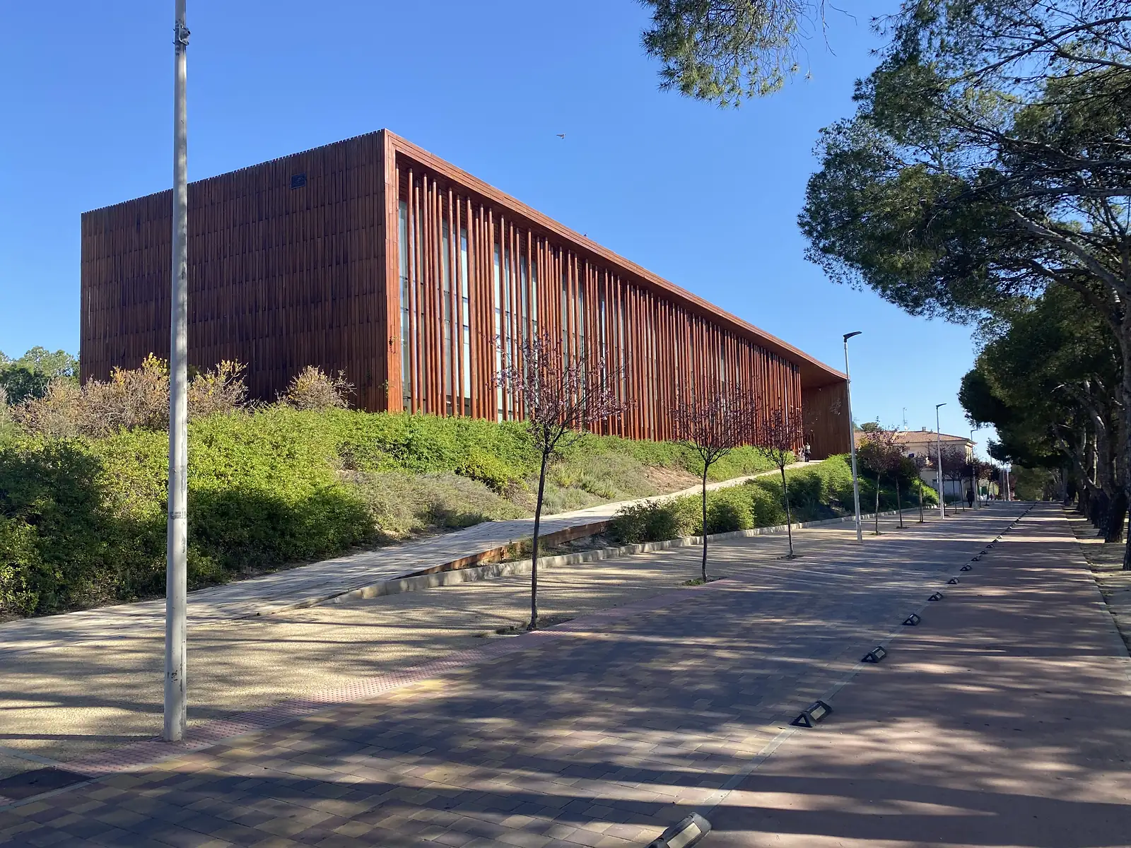A large modern building clad in vertical timber slats standing above a hedged bank beside a wide tree-lined promenade.