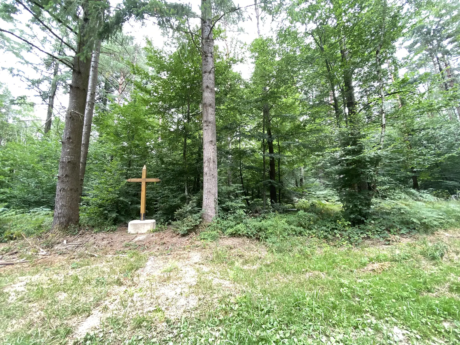 A wooden cross trail marker on a concrete plinth stands among tall trees at a clearing in the forest.