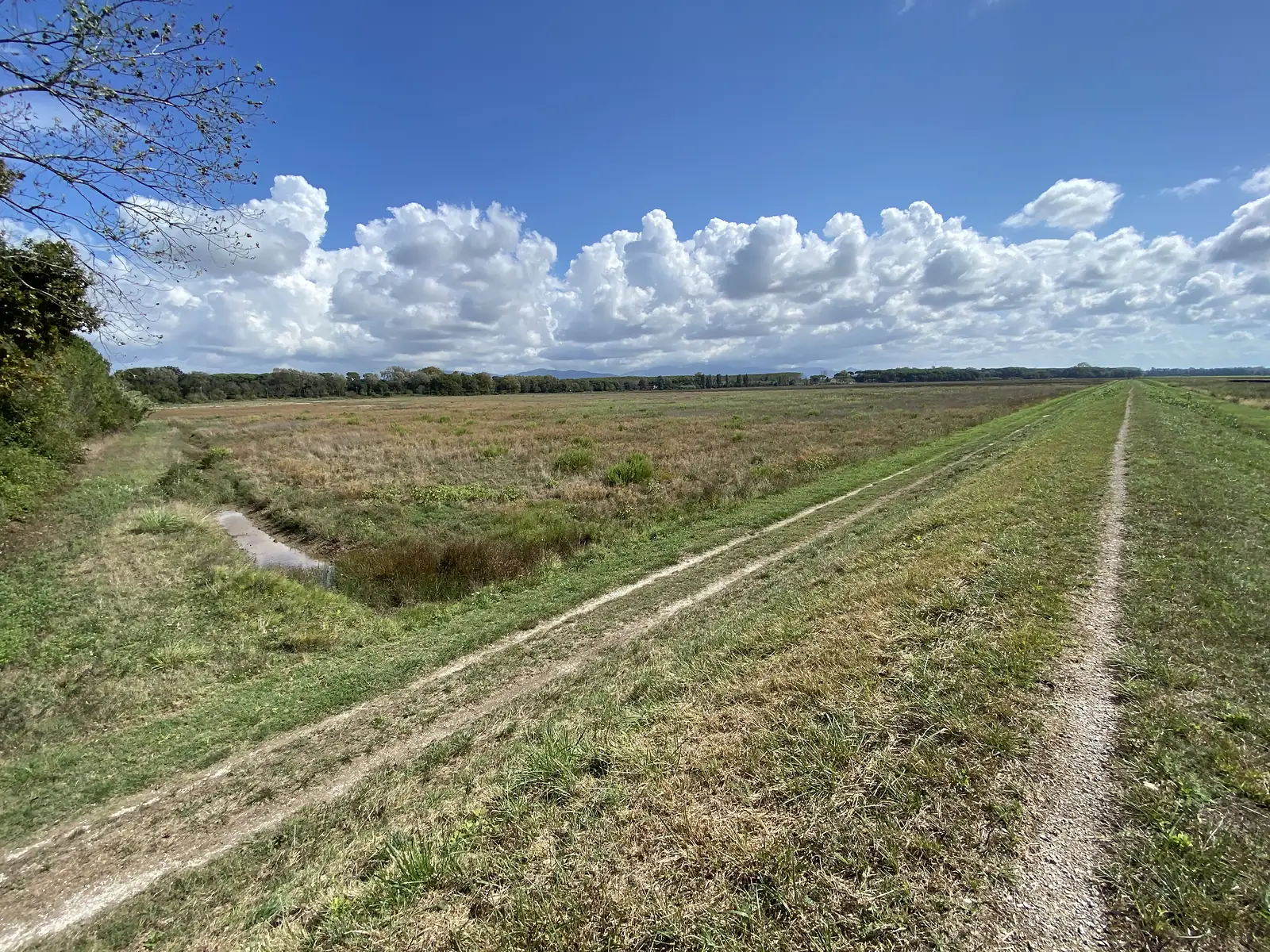 A grassy embankment track running alongside a drainage ditch and open farmland, hills visible on the horizon.