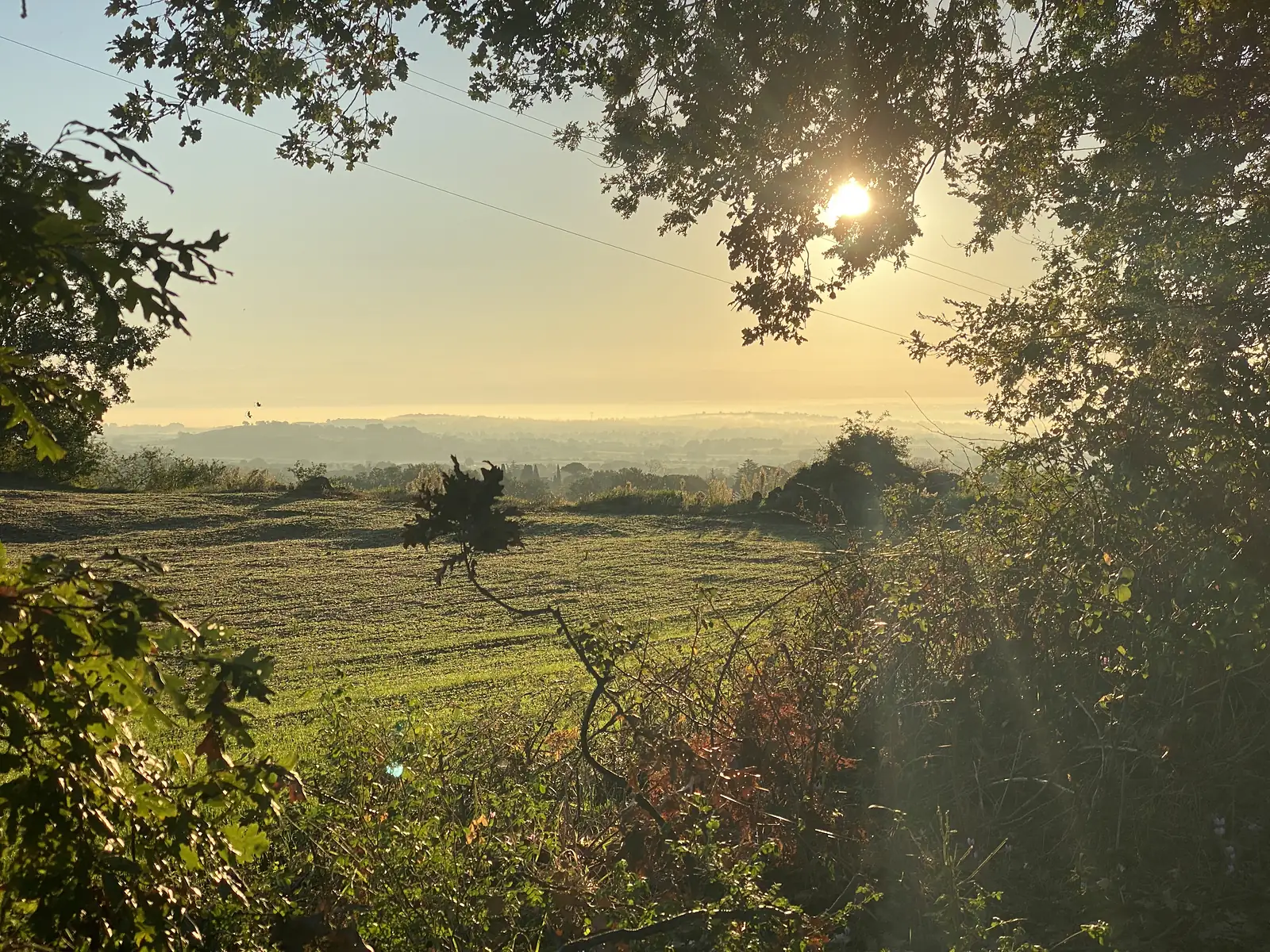 Low morning sun breaking through overhanging branches above a mist-softened valley of fields and distant hills.