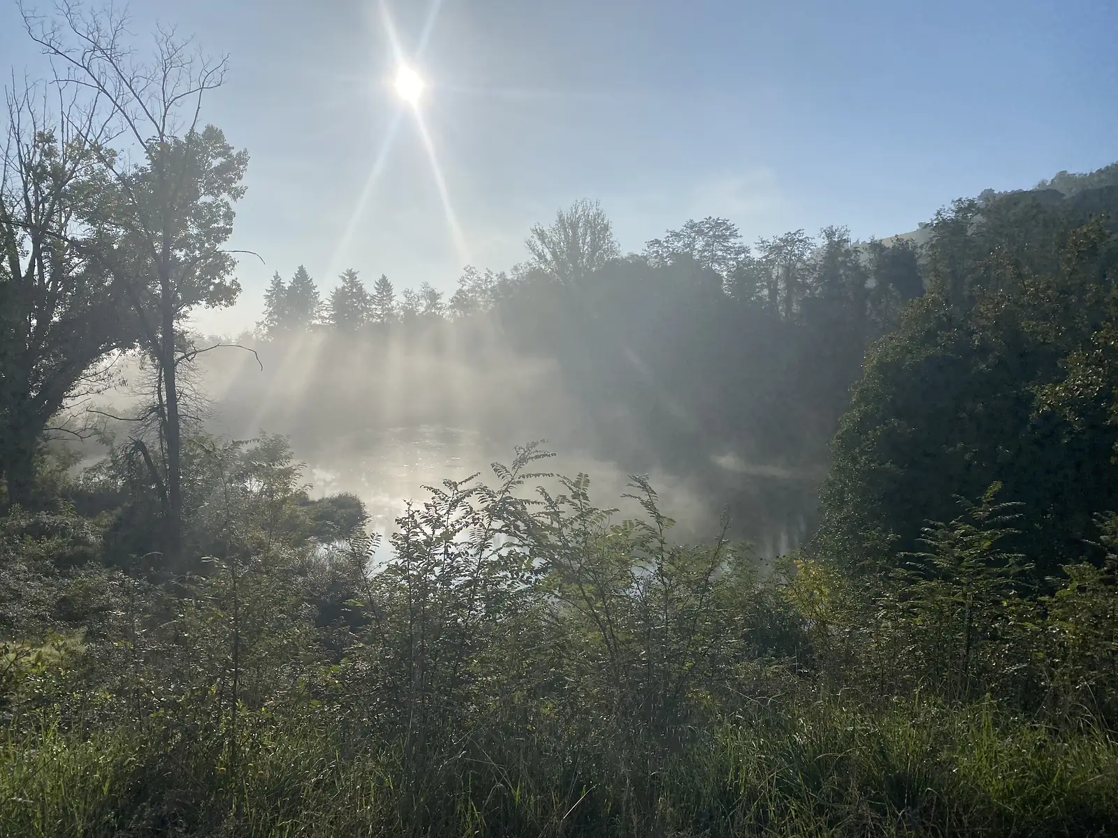 Mist rising off a still pond ringed by trees and reeds, backlit by the low morning sun.