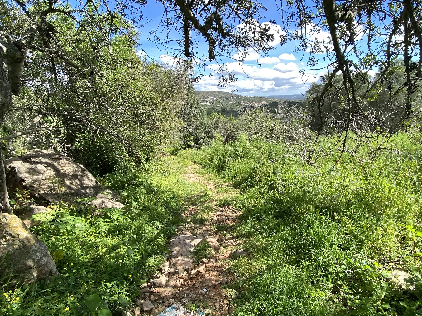 Grassy, half-overgrown track dropping away between rocks and scrub oak, opening onto a view of a white town spread across the far hillside.