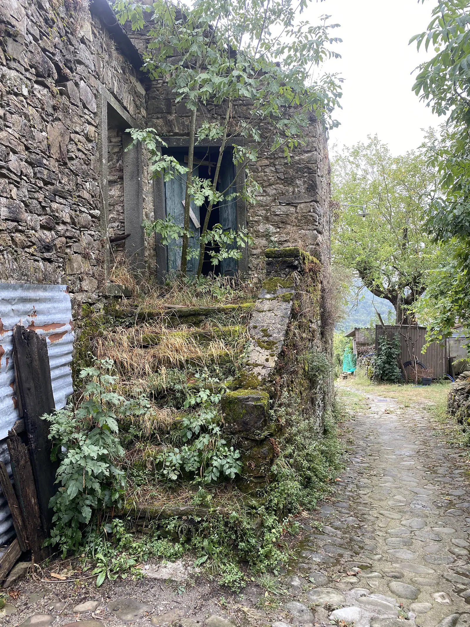A weathered stone barn with a boarded opening stands beside a cobbled lane, its walls thick with moss, ivy and dried grasses.