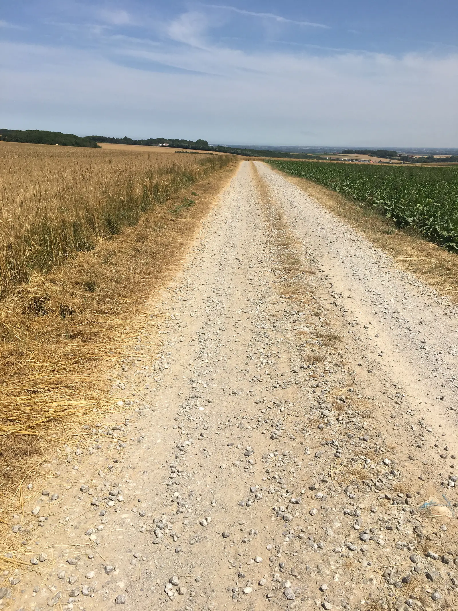A wide chalky gravel track running between fields of ripening wheat and dry grassland under a hazy sky.